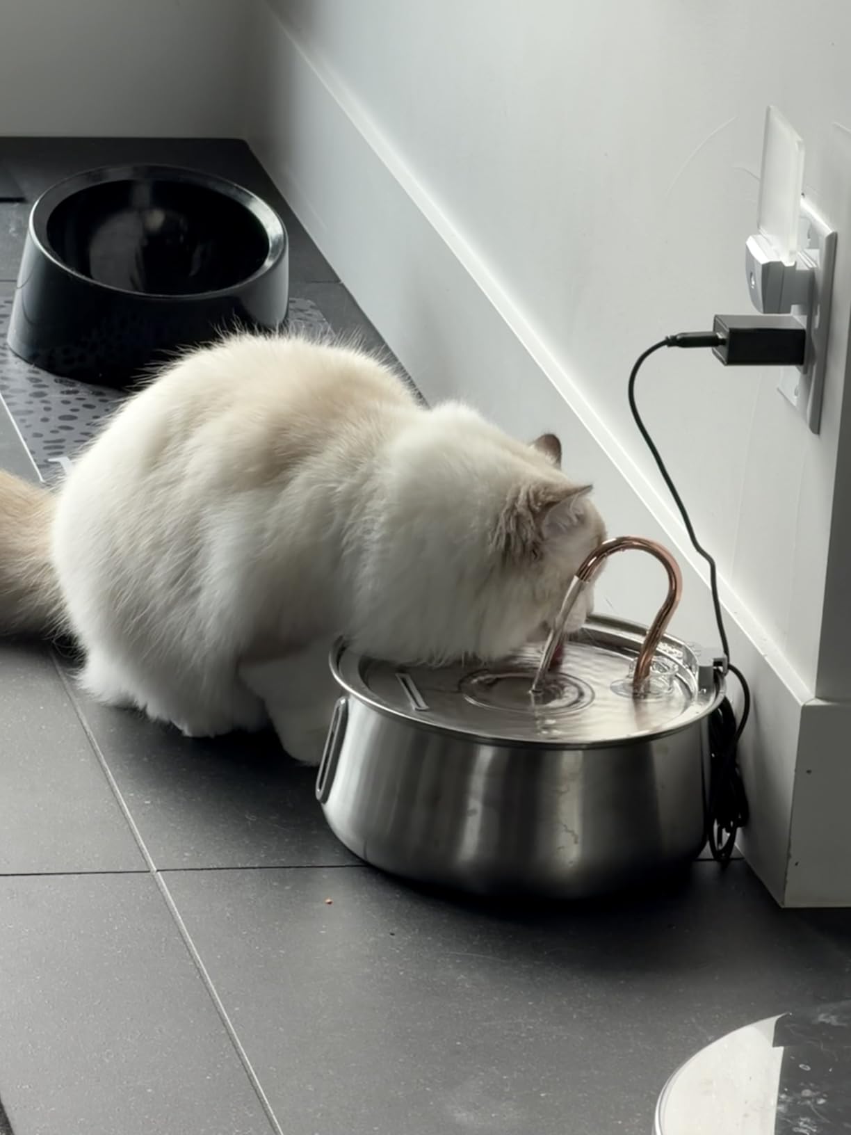 KittySpout Stainless Steel Cat Water Fountain Automatic Drinking Fountain, Quiet Circulating Water Bowl, Dishwasher Safe, Indoor Pet Fountain for Hydrated Healthy Cats (Stainless Steel, 4L Corded) customer photo 2