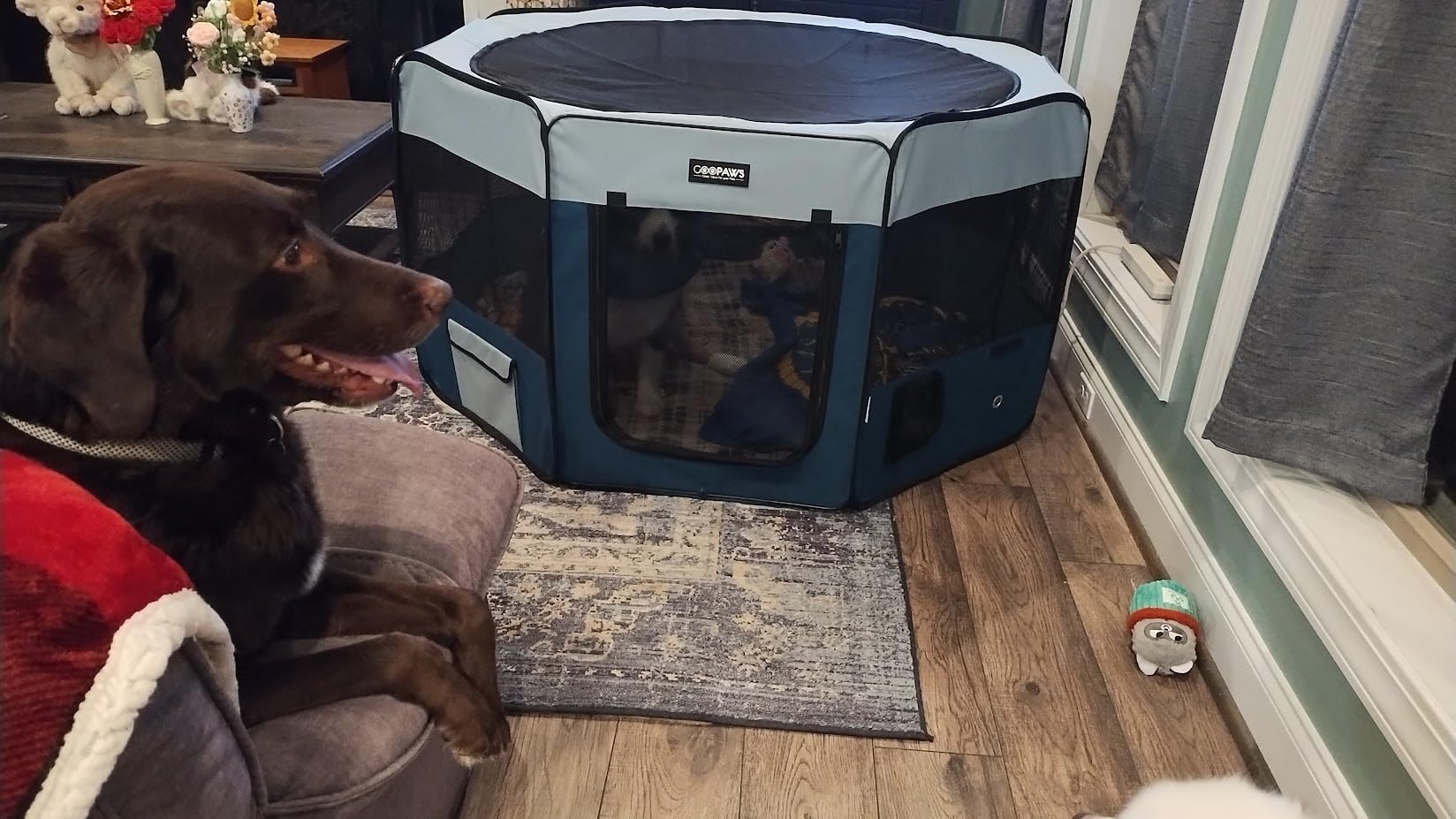 JESPET Pet Dog Playpens 36