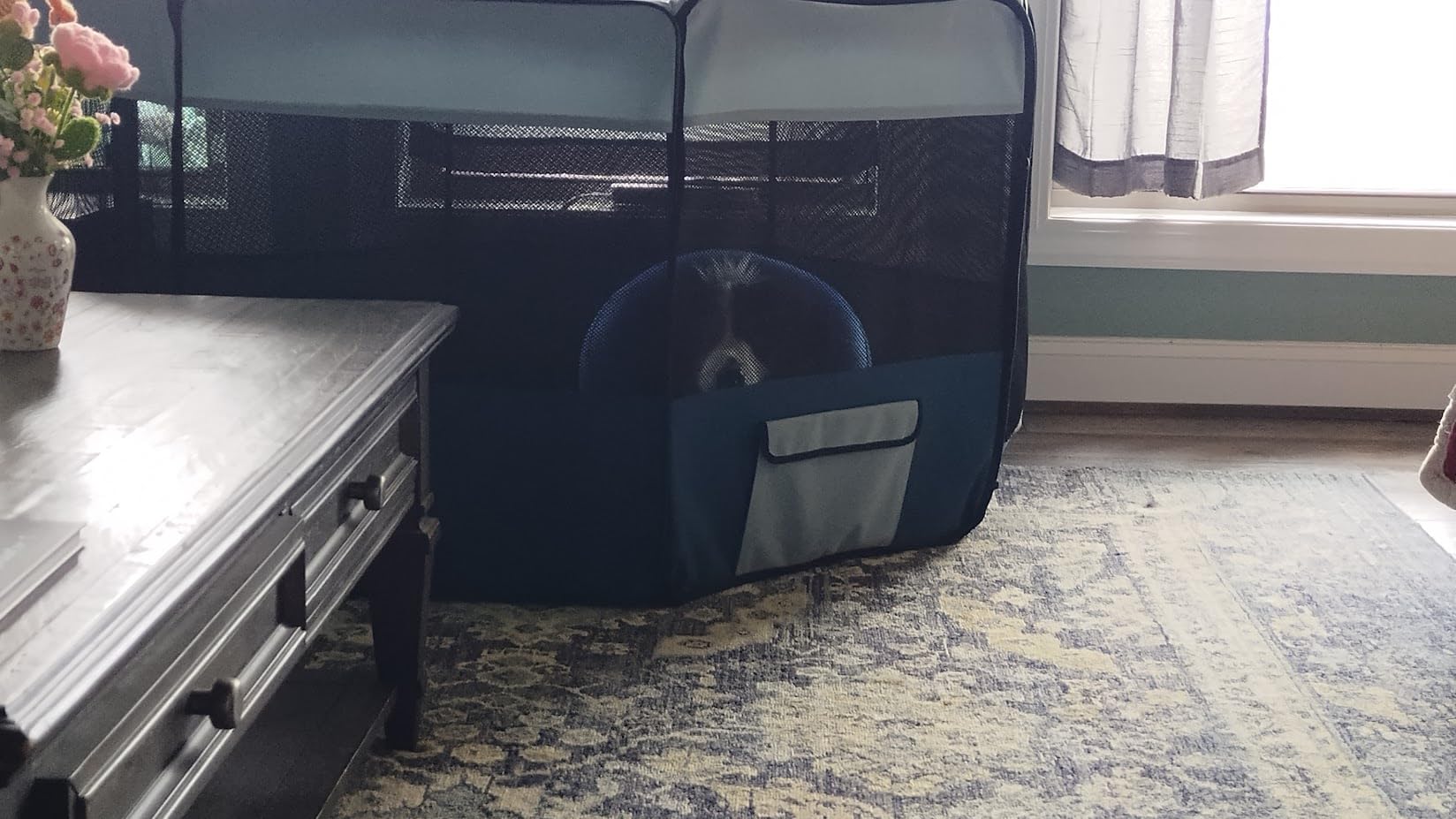 JESPET Pet Dog Playpens 36