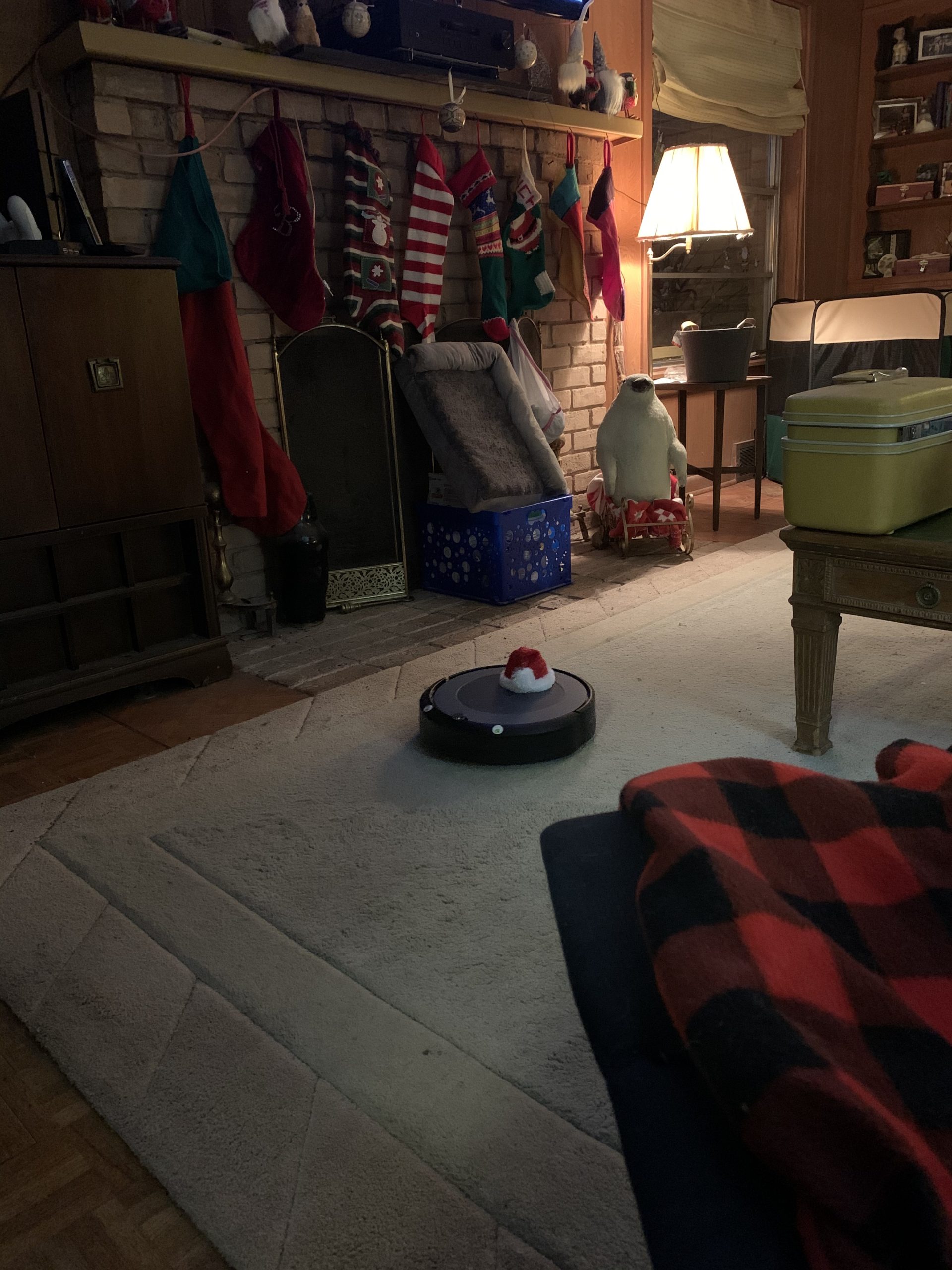 iRobot Roomba 105 Vac Robot Vacuum with AutoEmpty Dock - Self-Empties for 75 Days, Easy to use, Intense Power-Lifting Suction, LiDAR Navigation, Multi-Surface Cleaning, Cleans in Neat Rows customer photo 2
