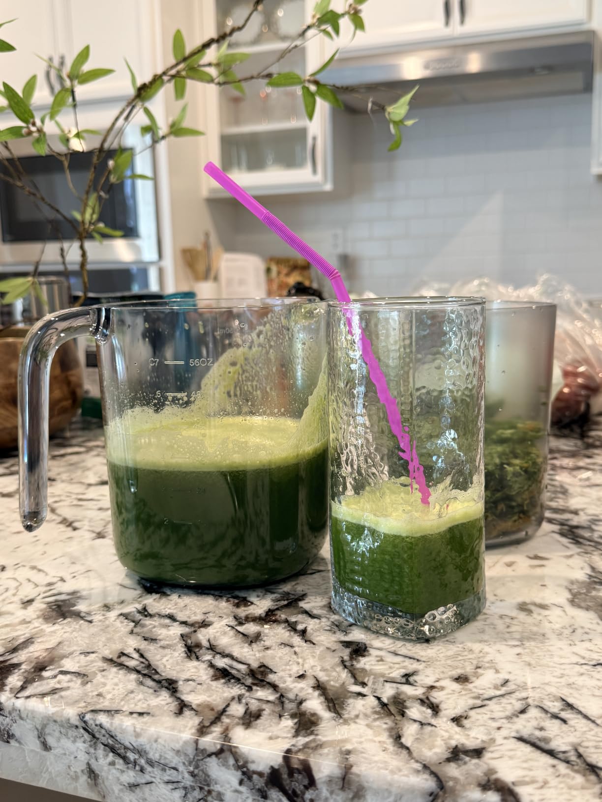 Nama J3 Compact Cold Press Juicer - Space Saving & Self Feeding for Hands-Free Operation - Lightweight, Portable Zero Waste Slow Masticating Juicer - Easy Cleanup & Assembly - White customer photo 2