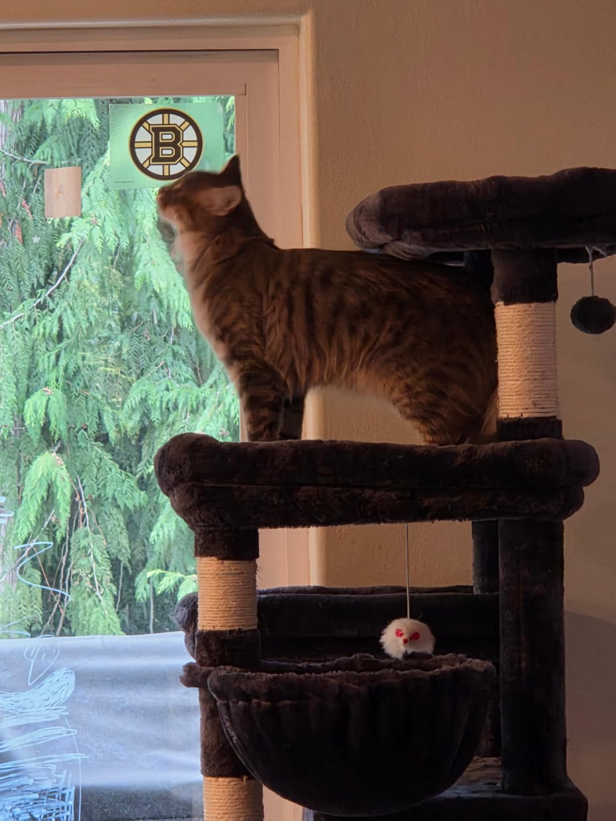 Taoqimiao Heavy-Duty Cat Tree, 71 in Cat Tower for Large Cats 20lbs+ | 3 Giant Multi-Tier Perches, Widened Cat Condo with 9 Scratching Posts, Plush Hammock & Basket, Toys, Light Gray, MS034W customer photo 2