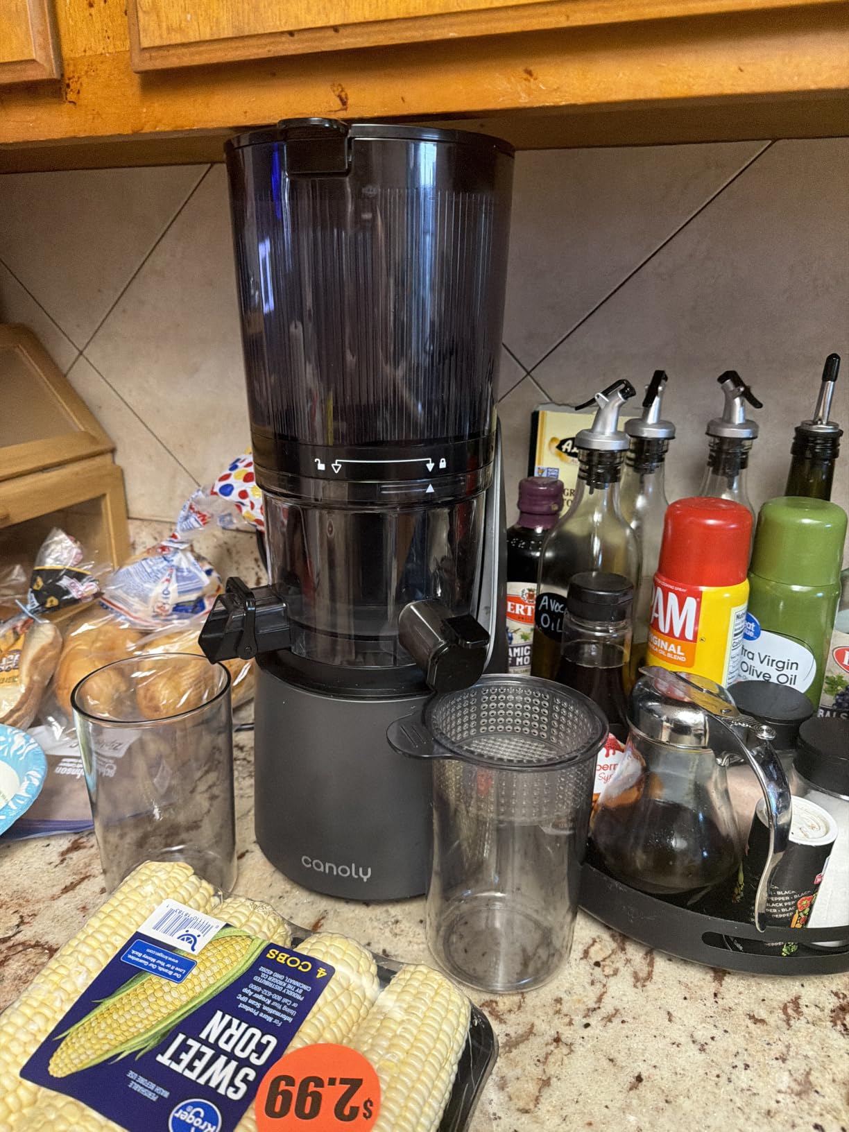 Canoly C16 Cold Press Juicer, 6