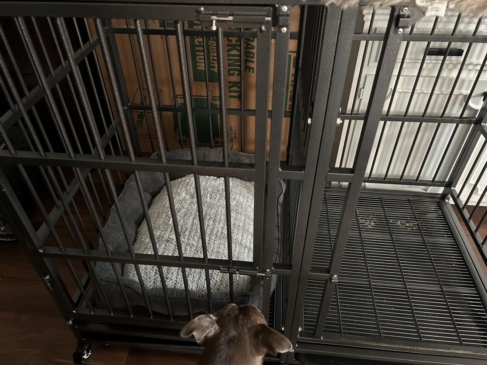 BOLDBONE 54 inch Heavy Duty Indestructible and Escape-Proof Dog Crate Cage Kennel with Divider for 2 Large Dogs, High Anxiety Dog Crate with Removable Wires Trays and Wheels, Extra Large XL XXL customer photo 2