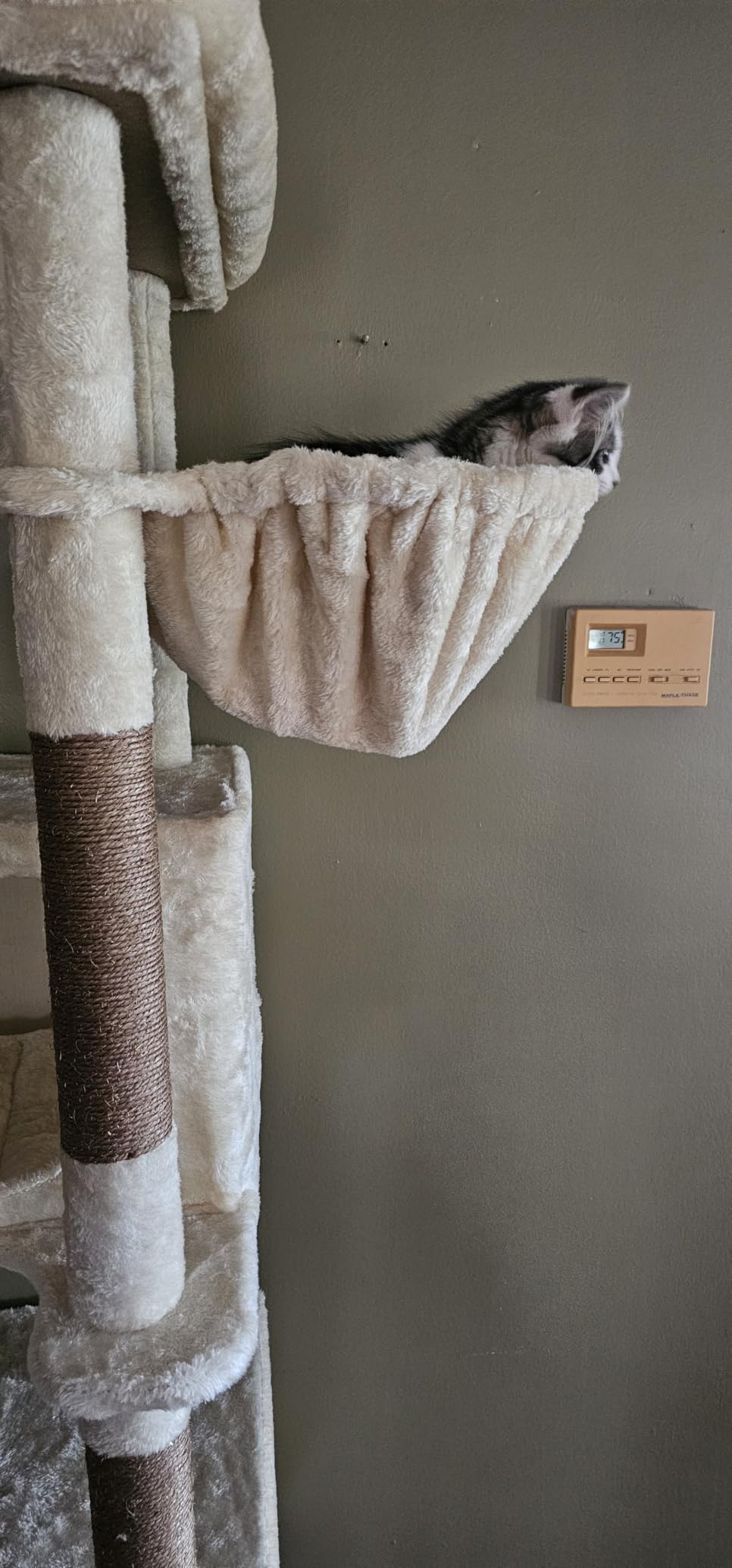 Globlazer Heavy Duty Cat Tree, 74in Tall Sturdy Cat Tower for Large Cats Adult Big Cat Tree with 7 Scratching Posts, 2 Condos with Pad, 2 Dual-Ear Hanging Baskets, Enlarged Top Perch, S74, Light Grey customer photo 1