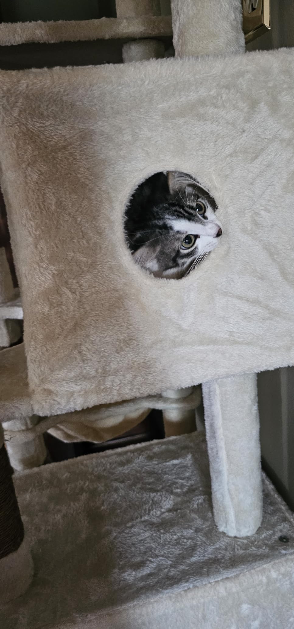 Globlazer Heavy Duty Cat Tree, 74in Tall Sturdy Cat Tower for Large Cats Adult Big Cat Tree with 7 Scratching Posts, 2 Condos with Pad, 2 Dual-Ear Hanging Baskets, Enlarged Top Perch, S74, Light Grey customer photo 2