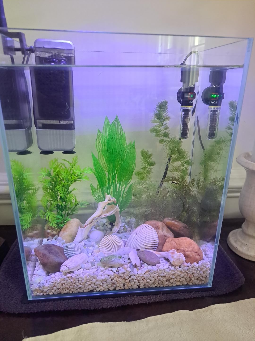Vimvins 10 Gallon Glass Fish Tank, Easy to Maintain Small Aquarium for Betta/Shrimp and Aquatic Planting customer photo 1