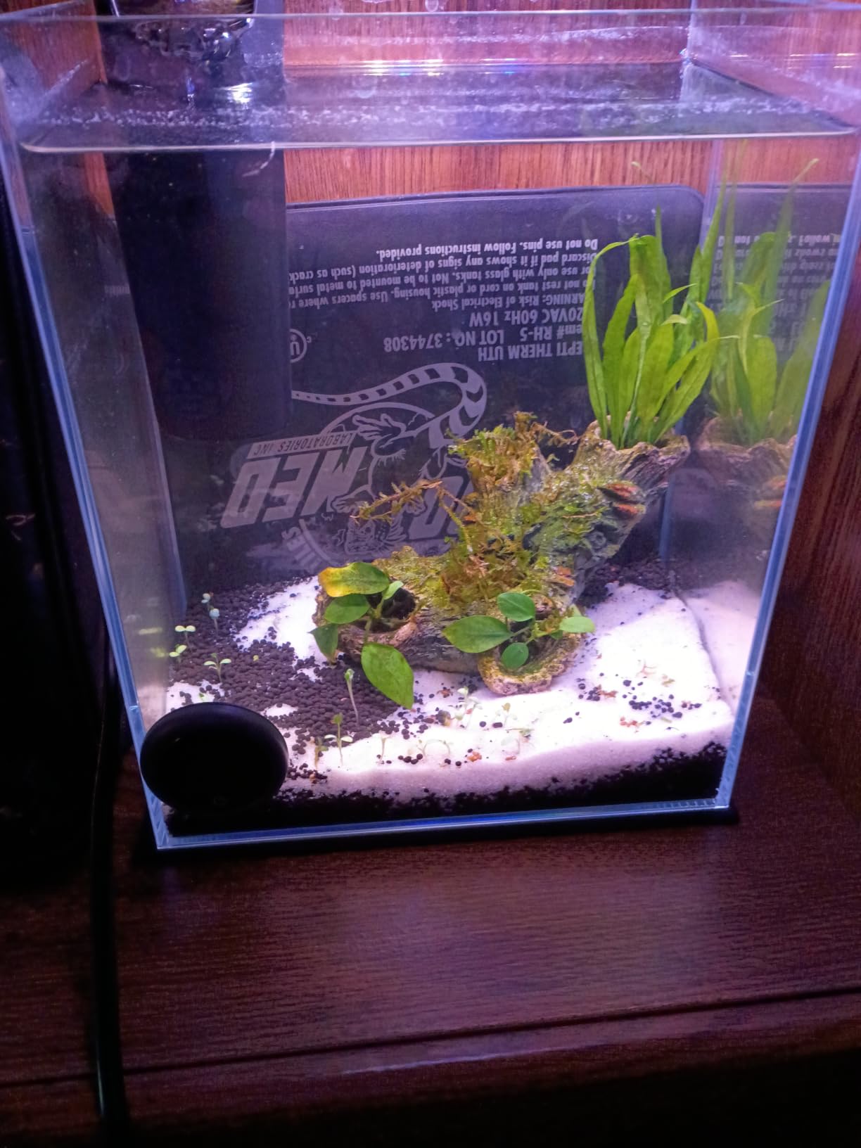Vimvins 10 Gallon Glass Fish Tank, Easy to Maintain Small Aquarium for Betta/Shrimp and Aquatic Planting customer photo 2