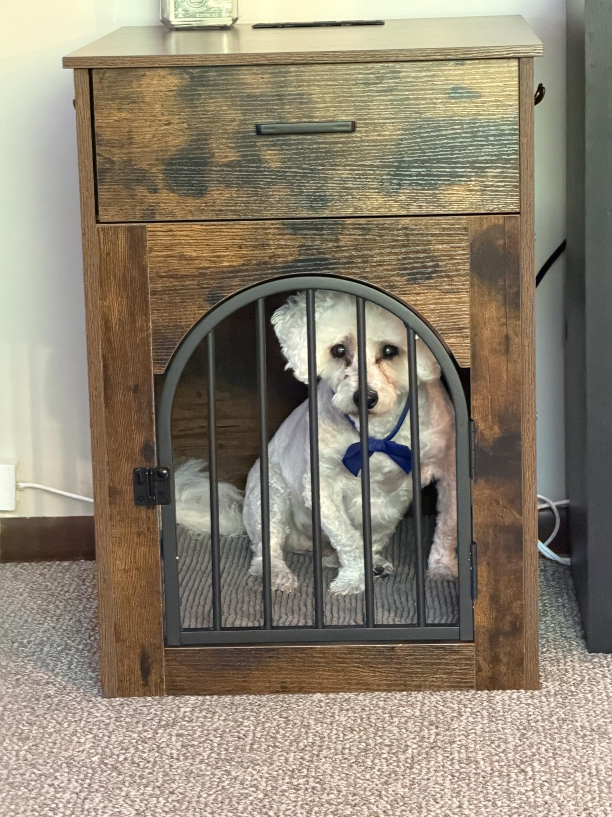 CHOEZON Dog Crate Furniture, Wooden Dog Kennel with Charging Station and Storage Drawer, Indoor Pet Crate End Table for Small Breeds, Dog Cage Furniture for Living Room, Bedroom, Greige customer photo 2