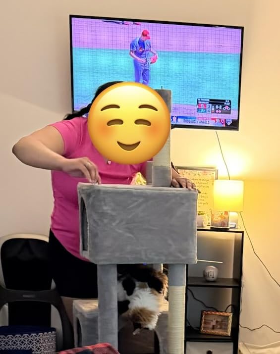 PAWZ Road 26