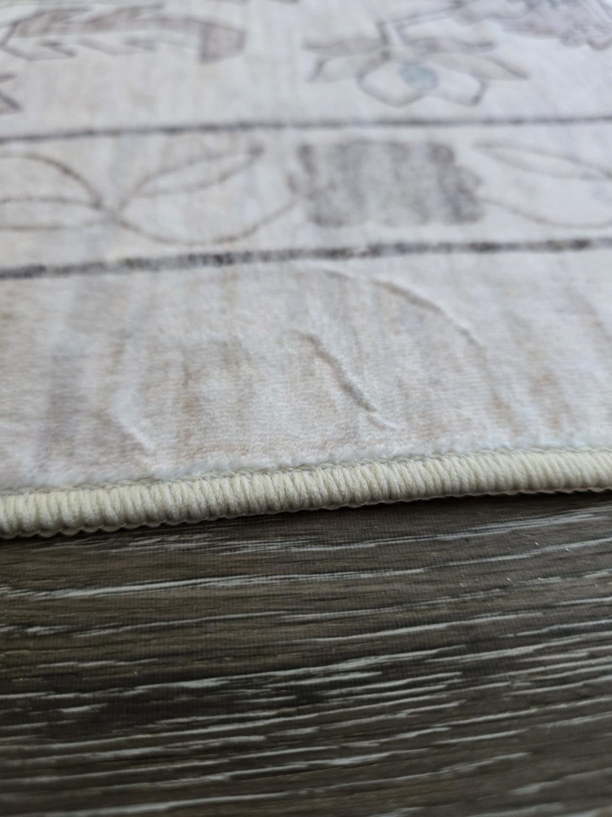 5x7 Area Rugs Living Room: Washable Vintage Rug for Bedroom Beige | Boho No Slip Stain Resistant Rug Soft Indoor Decor Floor Floral 5x7 Area Rugs for Dining Room, Nursery, Hallway, Home Office customer photo 1