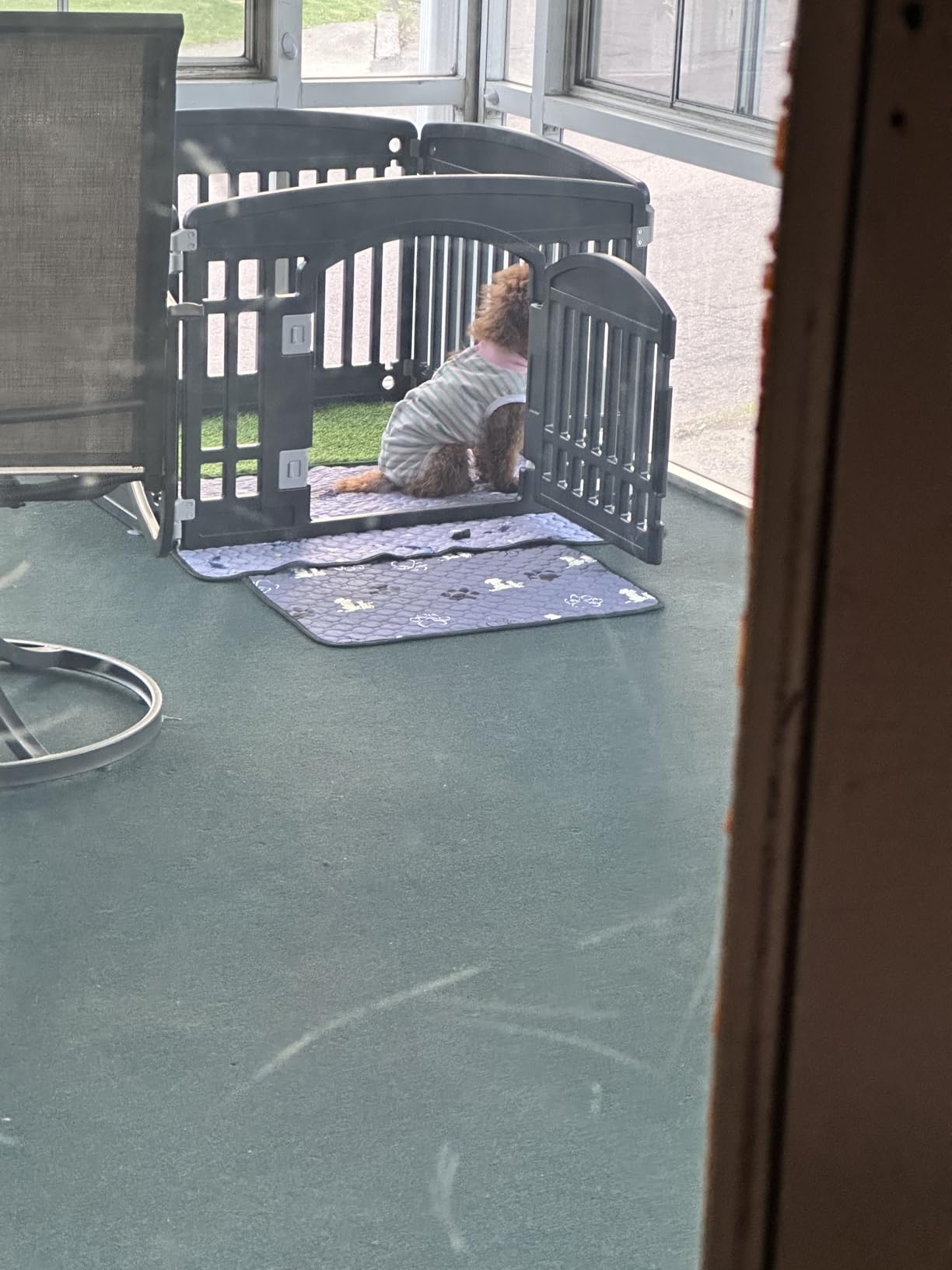 Sweetcrispy Plastic Dog Playpen, 4 Panel 24