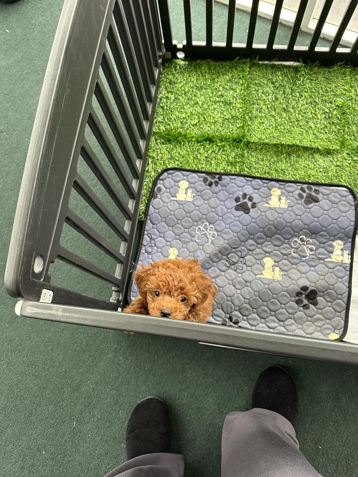 Sweetcrispy Plastic Dog Playpen, 4 Panel 24
