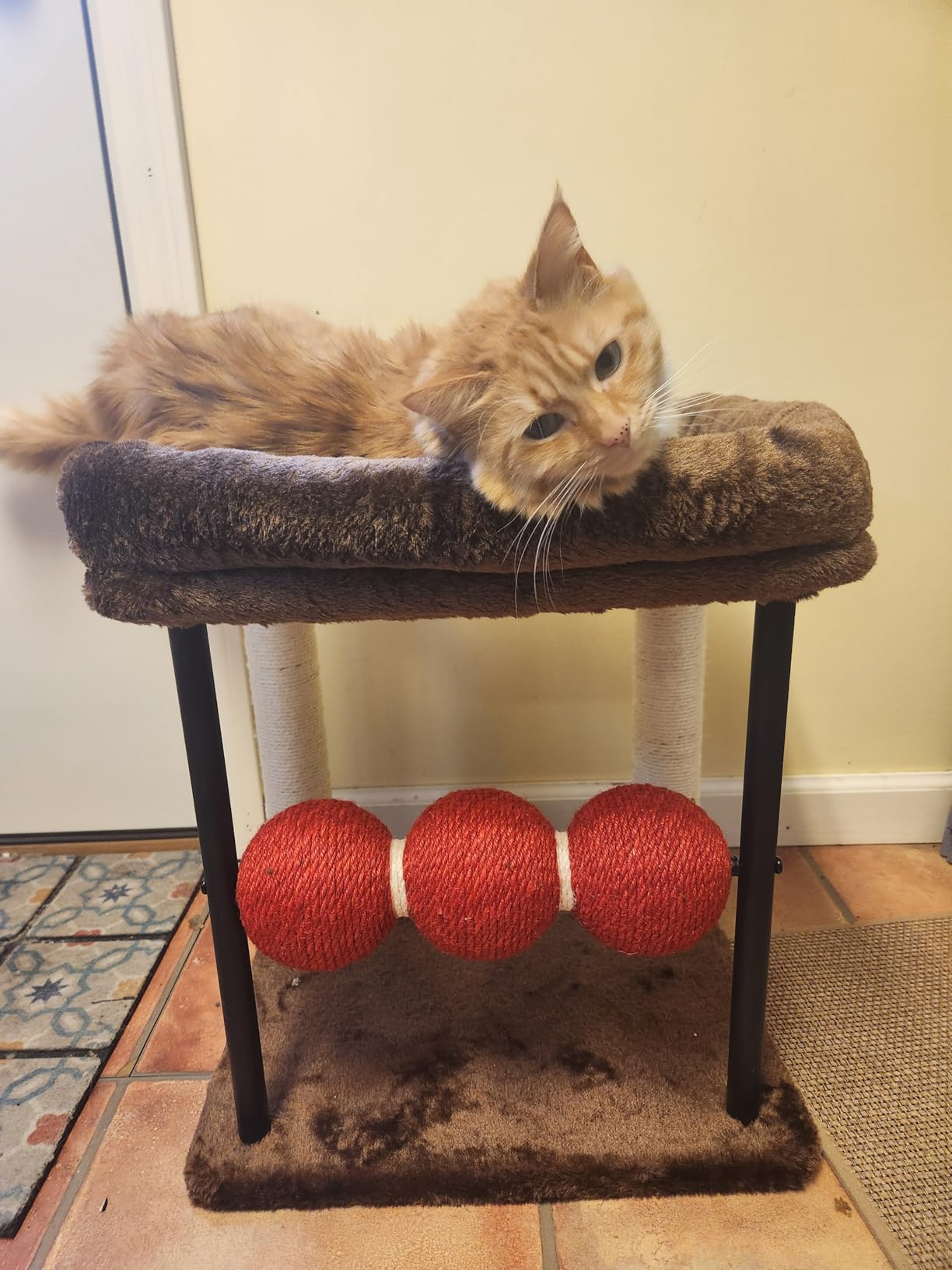 Veehoo Small Cat Tree, Cat Scratching Post with 17