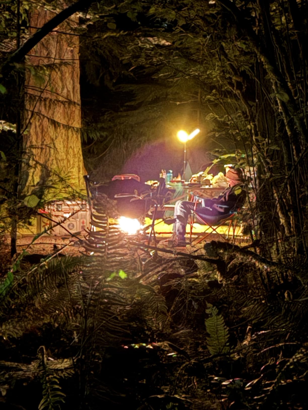 BougeRV Telescopic Camping Light T1, 15600mAh Rechargeable Lantern, 5.5 ft Adjustable Height, 1000x3 Lumens, 3 Color Modes, IPX5 Waterproof, Outdoor Camping Lantern customer photo 1