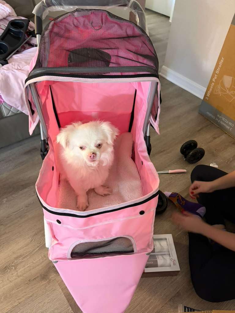 DUMOS 3 Wheels Pet Stroller for Small Dogs and Cats | Foldable Dog Stroller with Mesh Windows, Storage Basket & Cup Holder, Lightweight & Durable Pet Carrier for Travel, Pink customer photo 1