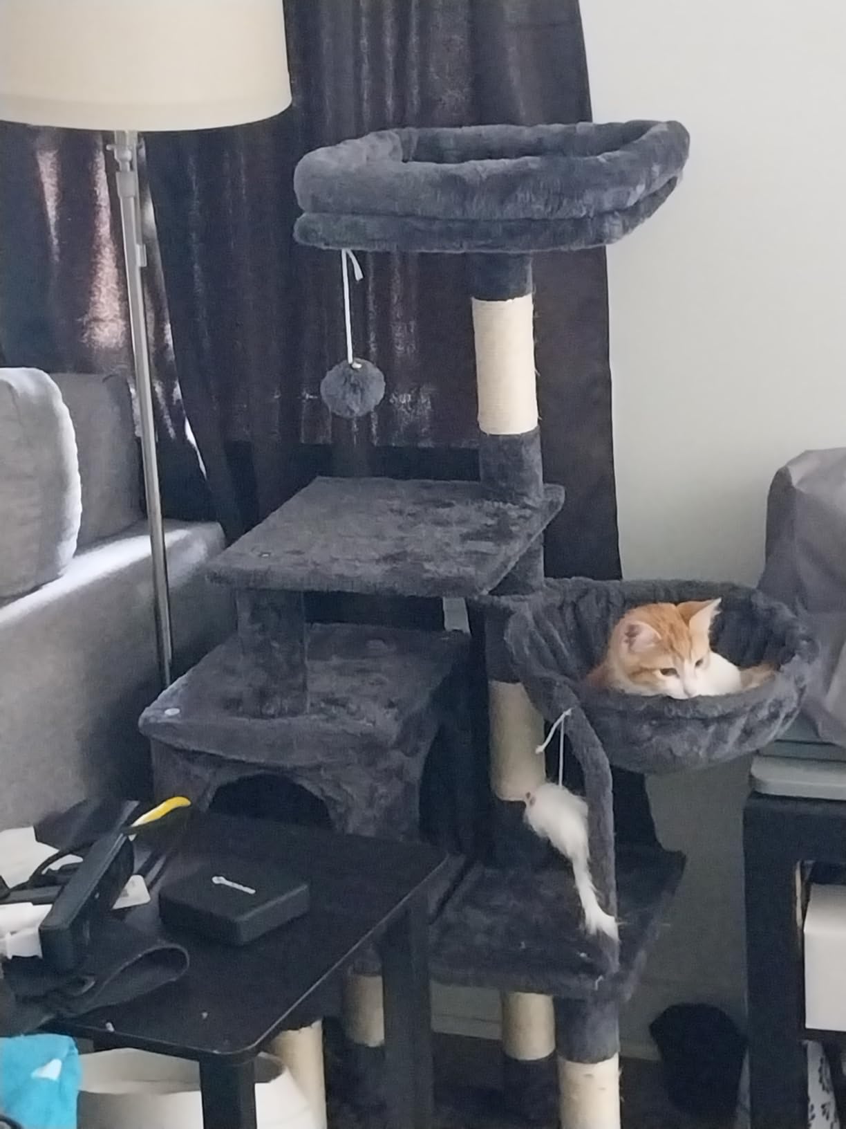 Heybly Cat Scratching Post, Small Cat Tree Tower with 3 Full Sisal Posts, Removable Plush Bed, Grooming Brush, Stable & Space-Saving Cat Furniture with Gentle Step for Indoor Cats, White HSP001SWH customer photo 1