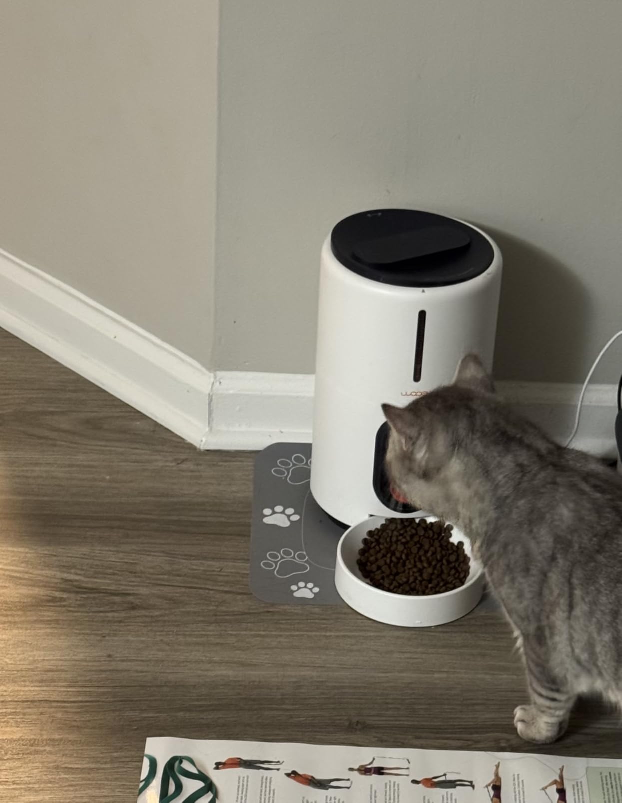 WOPET Automatic Dog Feeder with Camera,1080P HD Video with Night Vision, 5GHz/2.4GHz Dog Food Dispenser with App Control, 4GB SD Card, 2-Way Audio for Cats & Dogs customer photo 2