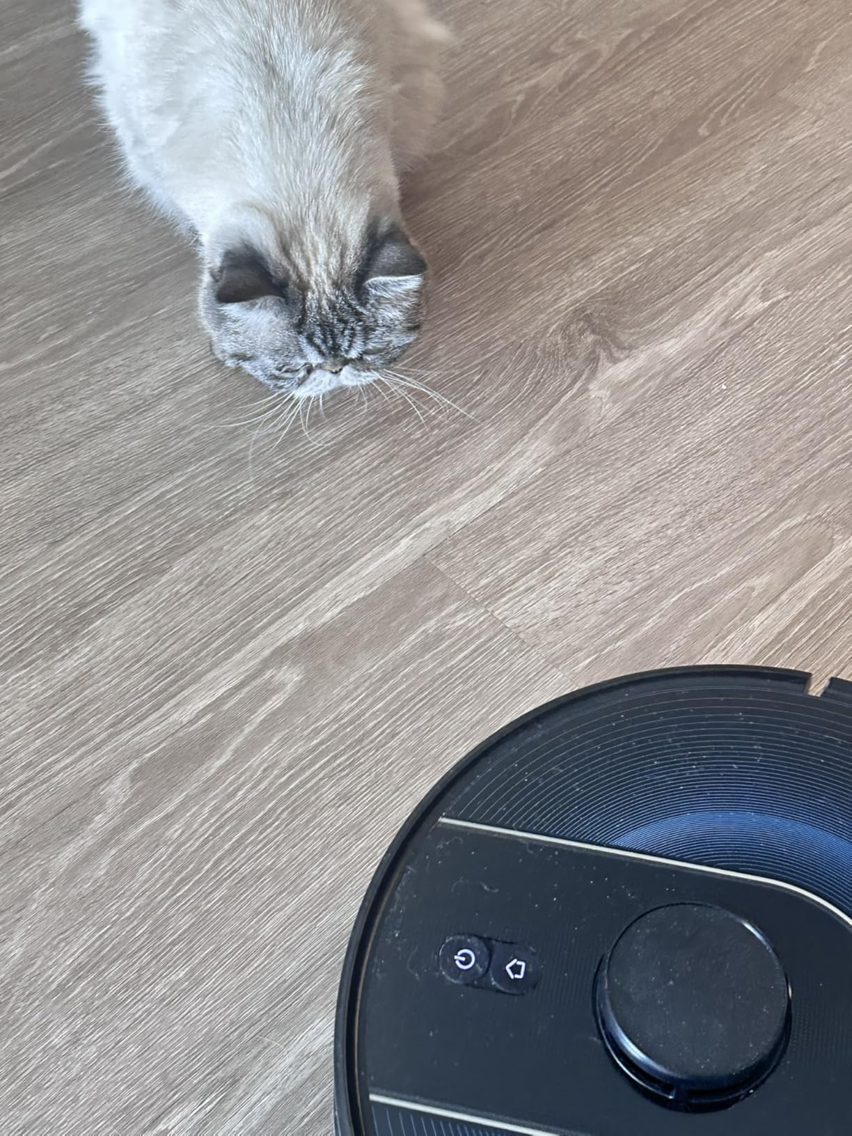 Bagotte Robot Vacuum and Mop Combo with LiDAR Navigation, Self-Emptying Robotic Vacuums Cleaner with 6000Pa Super Power, 90 Days Hands-Free customer photo 2