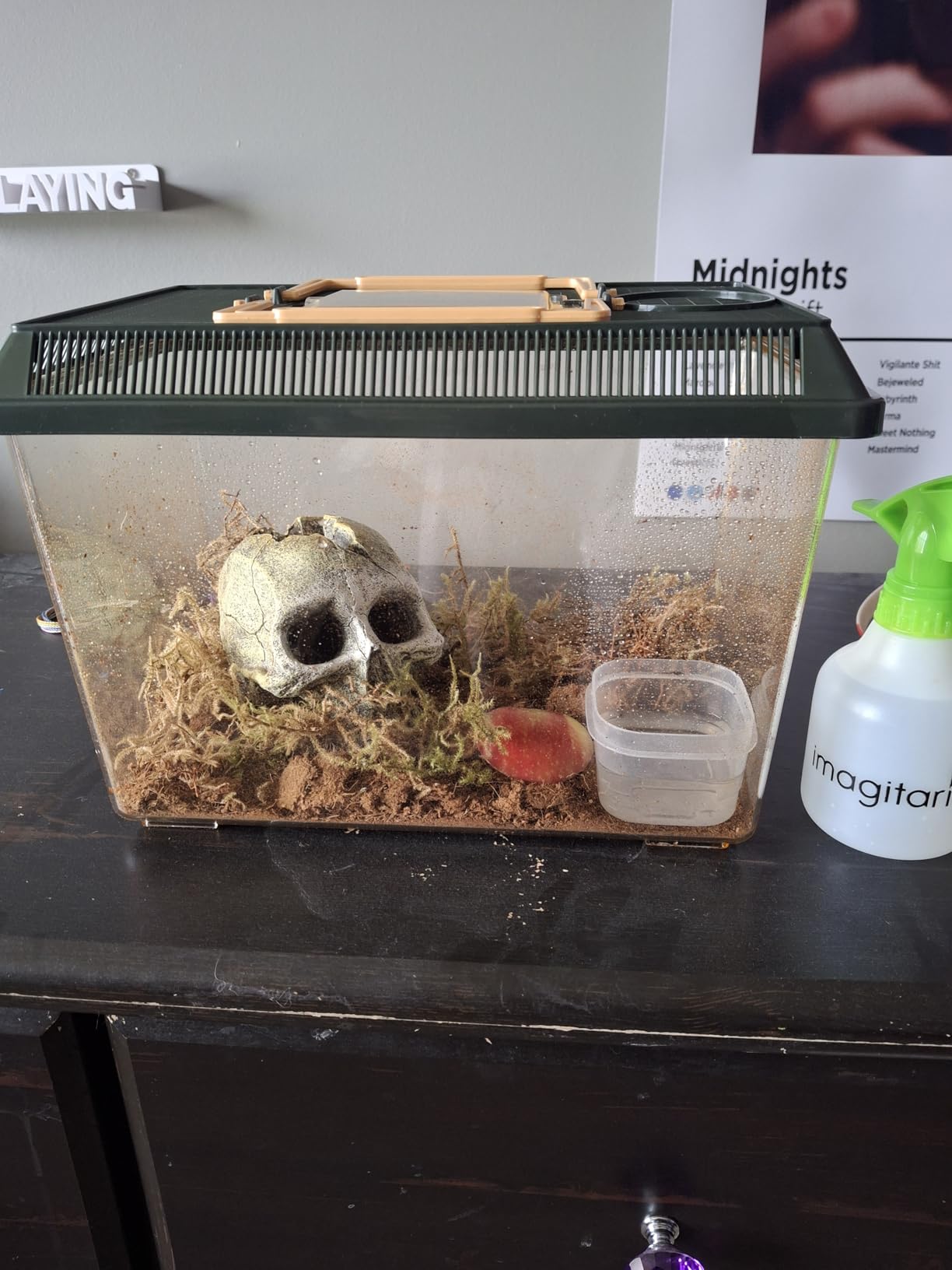 Exo Terra Faunarium, Plastic Reptile Terrarium, Medium, PT2260 customer photo 2