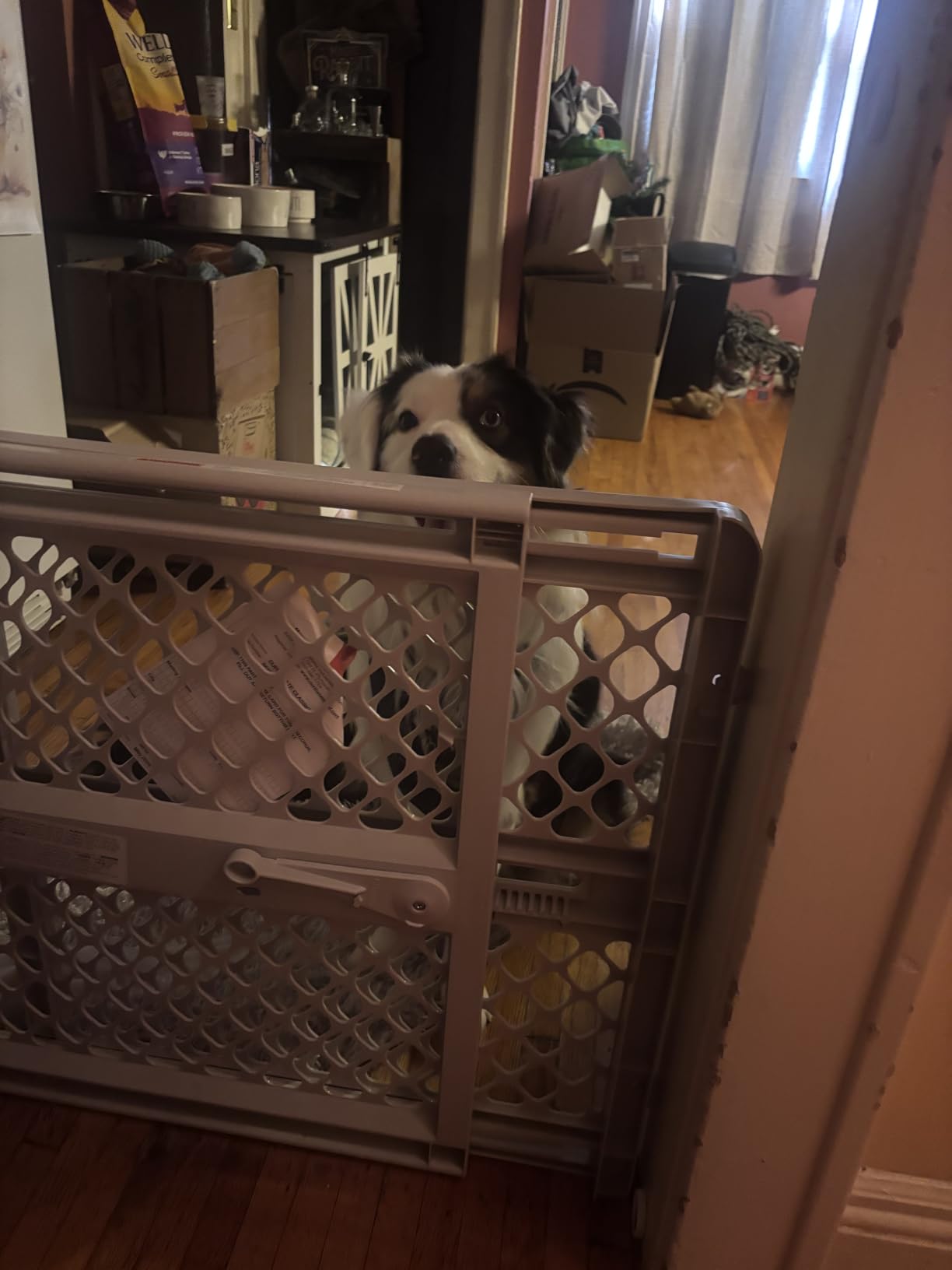 MYPET Universal Pet Gate: 26