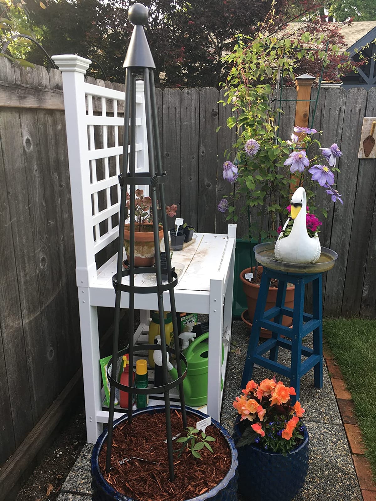 Achla Designs OBL-01, 61-in Wrought Iron Garden Obelisk Trellis, H, Graphite customer photo 2