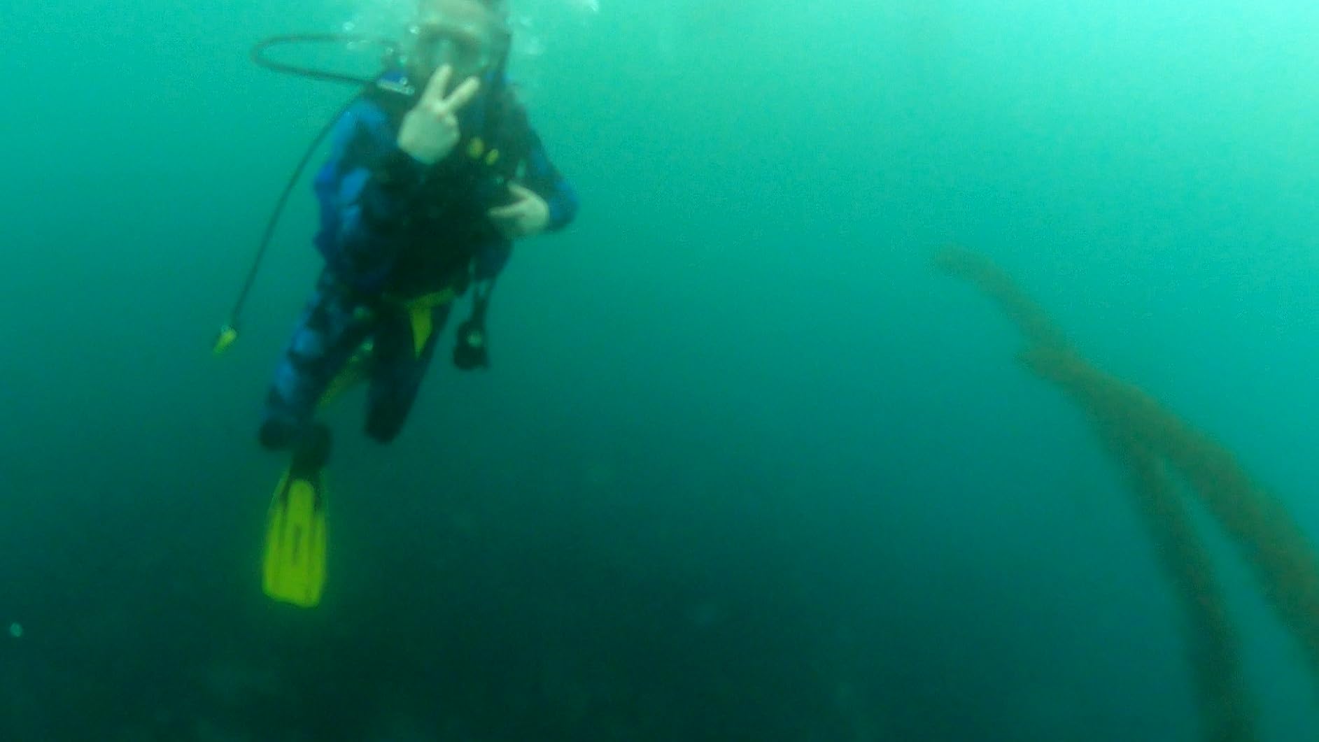 Cressi Lightweight Well-Balanced Open Heel Scuba Diving Fins - Pro Light: Made in Italy customer photo 1