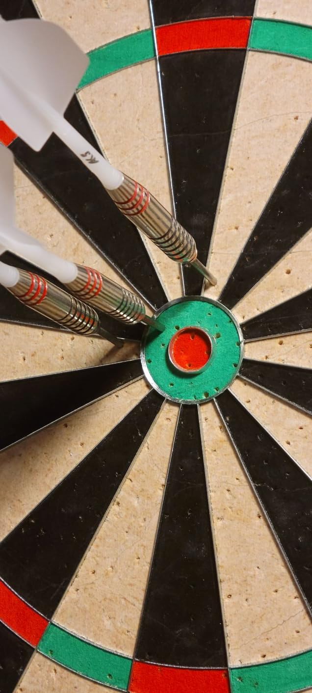Viper Razorback WDF Accredited Competition Dartboard Set customer photo 1
