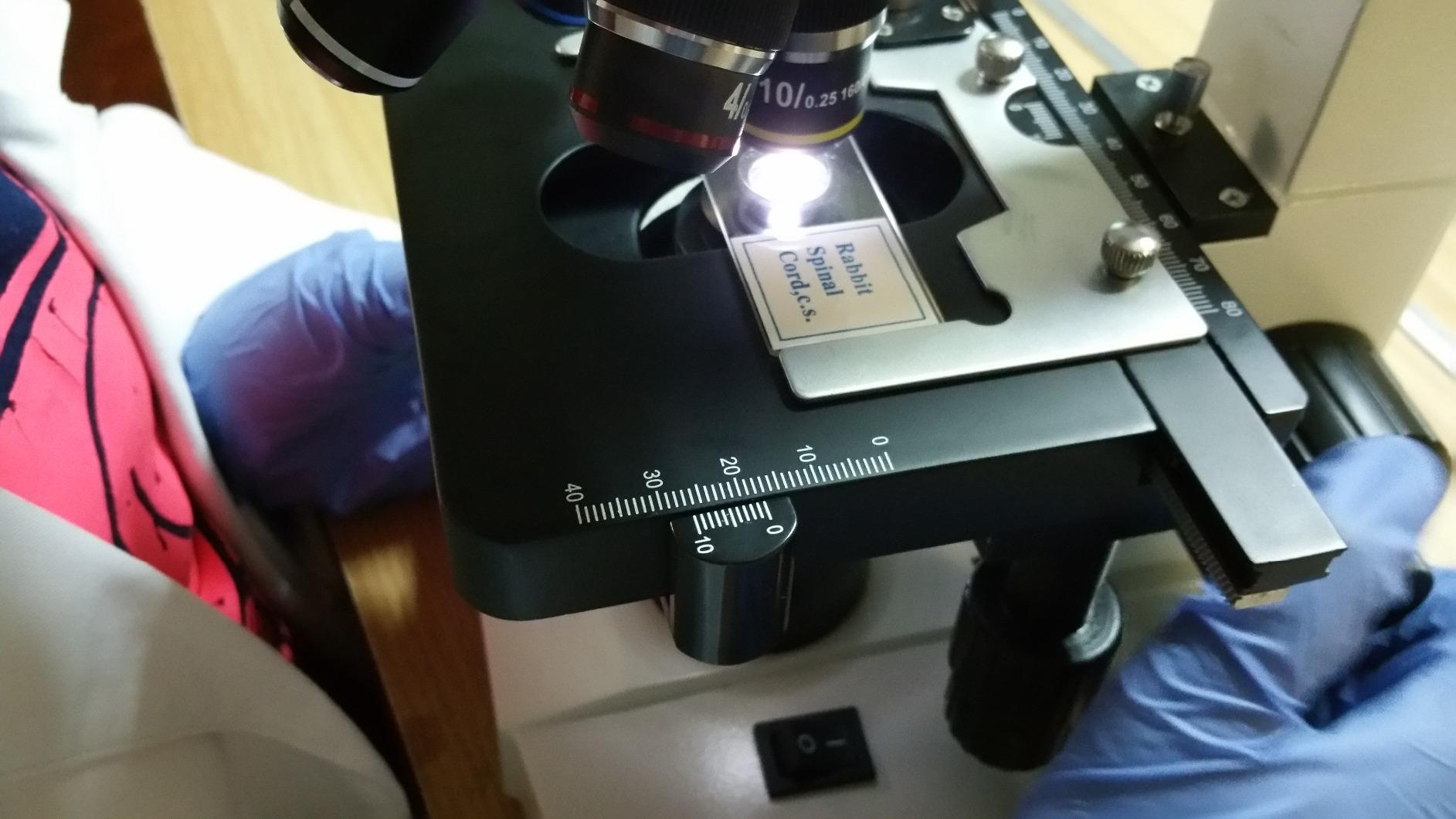 OMAX MD82ES10 2000X Digital LED Compound Microscope with Built-in 1.3MP USB 2.0 Camera, Double Layer Mechanical Stage customer photo 1
