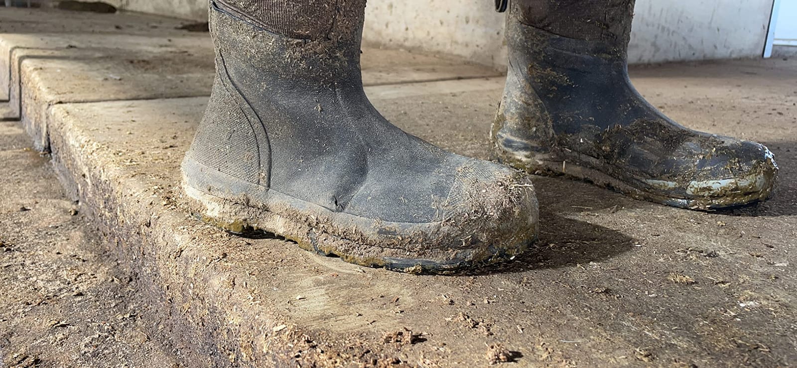 MUCK Men's Chore Cool Tall Boot customer photo 1