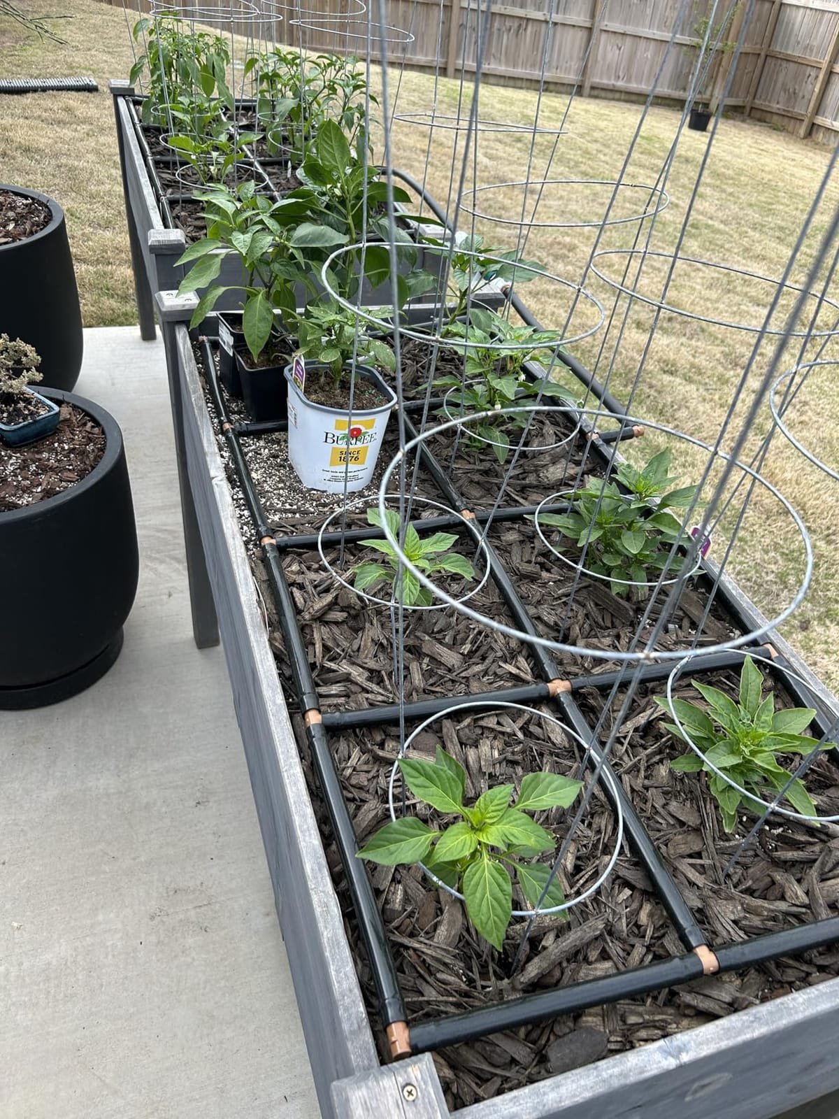 Garden Grid 2x4 | Garden Drip Irrigation System for Raised Beds | Pre-Built customer photo 1
