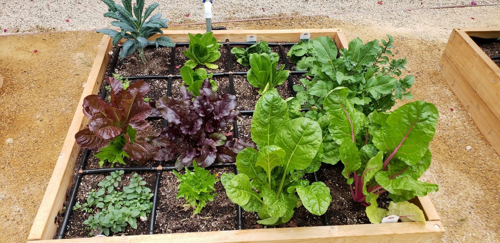Garden Grid 2x4 | Garden Drip Irrigation System for Raised Beds | Pre-Built customer photo 2