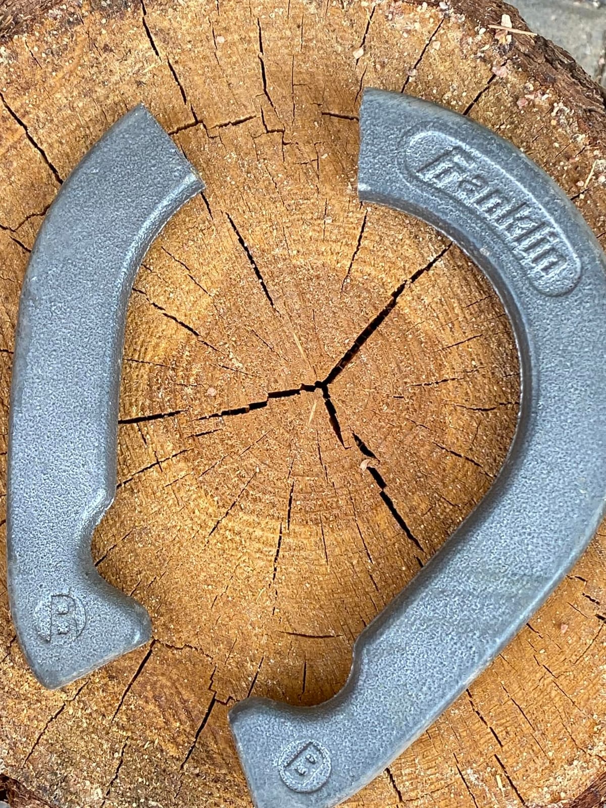 Franklin Sports Official Weight Steel Horseshoe Set - Recreational | Backyard, Beach + Lawn Play, Forged Scoring Stakes, Weather Resistant Construction, Rain or Shine Fun for All Ages customer photo 1