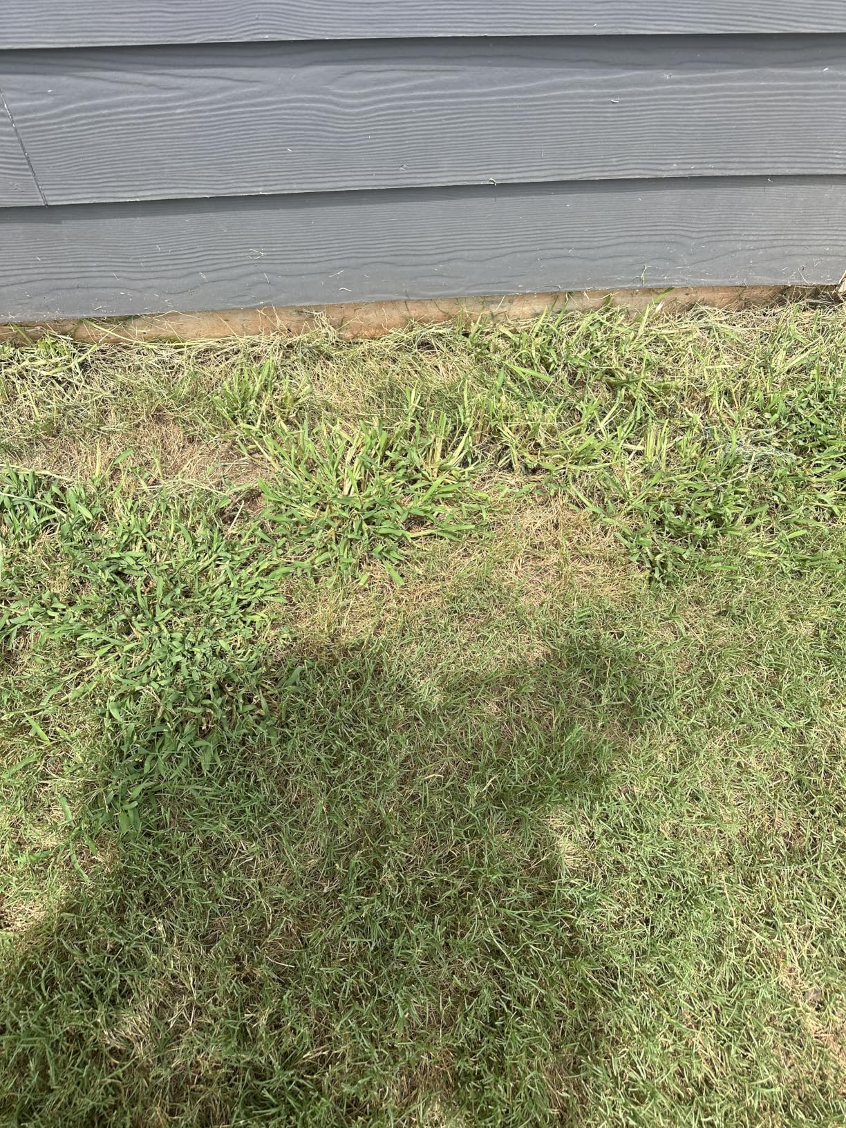BLACK+DECKER 40V MAX 13 in String Trimmer Edger Cordless with Adjustable Telescoping Pole, 2 in 1 Weed Wacker Lawn Edger (LST136) customer photo 2