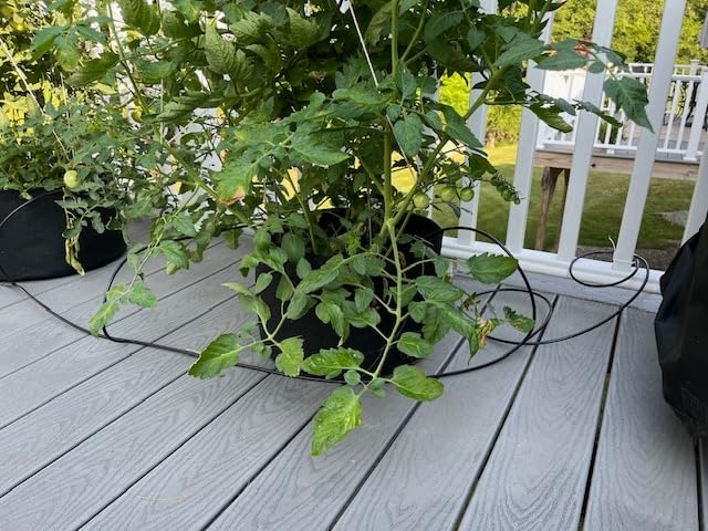 Raindrip R560DP Drip Watering System, Automatic Drip Irrigation System with Timer for Containers and Hanging Baskets, Waters up to 20 Plants, Includes 20 Drippers, Black customer photo 2