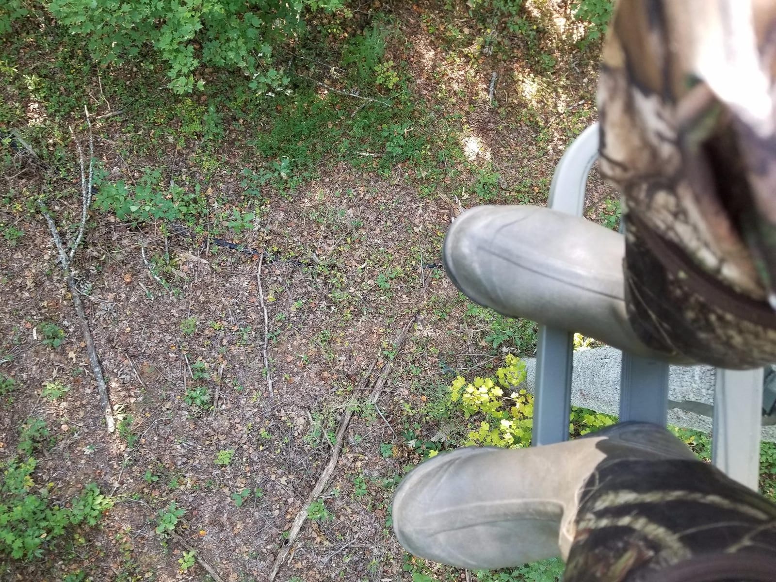Summit Treestands Mini Viper SD Climbing Treestand, Mossy Oak customer photo 2
