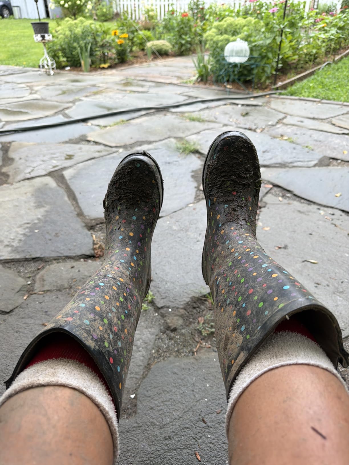 Western Chief Women's Tall Waterproof Rain Boot Outdoor Garden Shoes customer photo 2