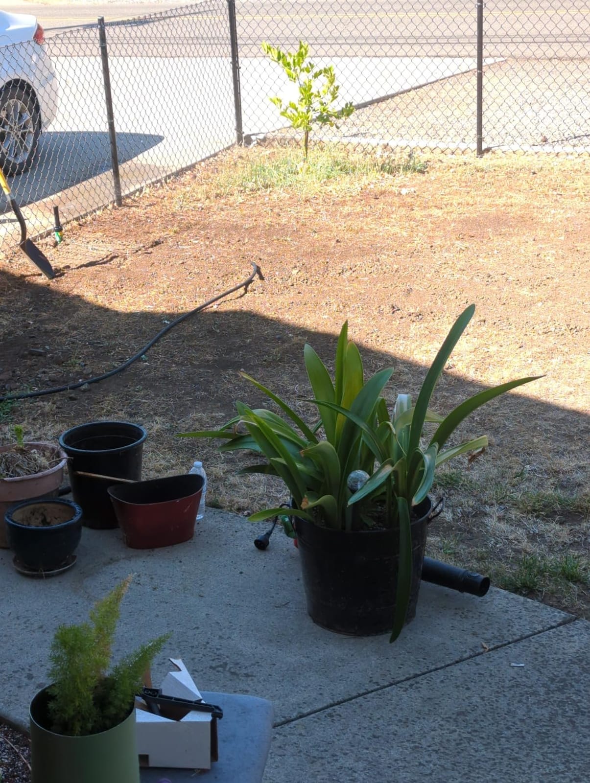 Rain Bird 32ETI DIY Install In-Ground Automatic Sprinkler Kit customer photo 2