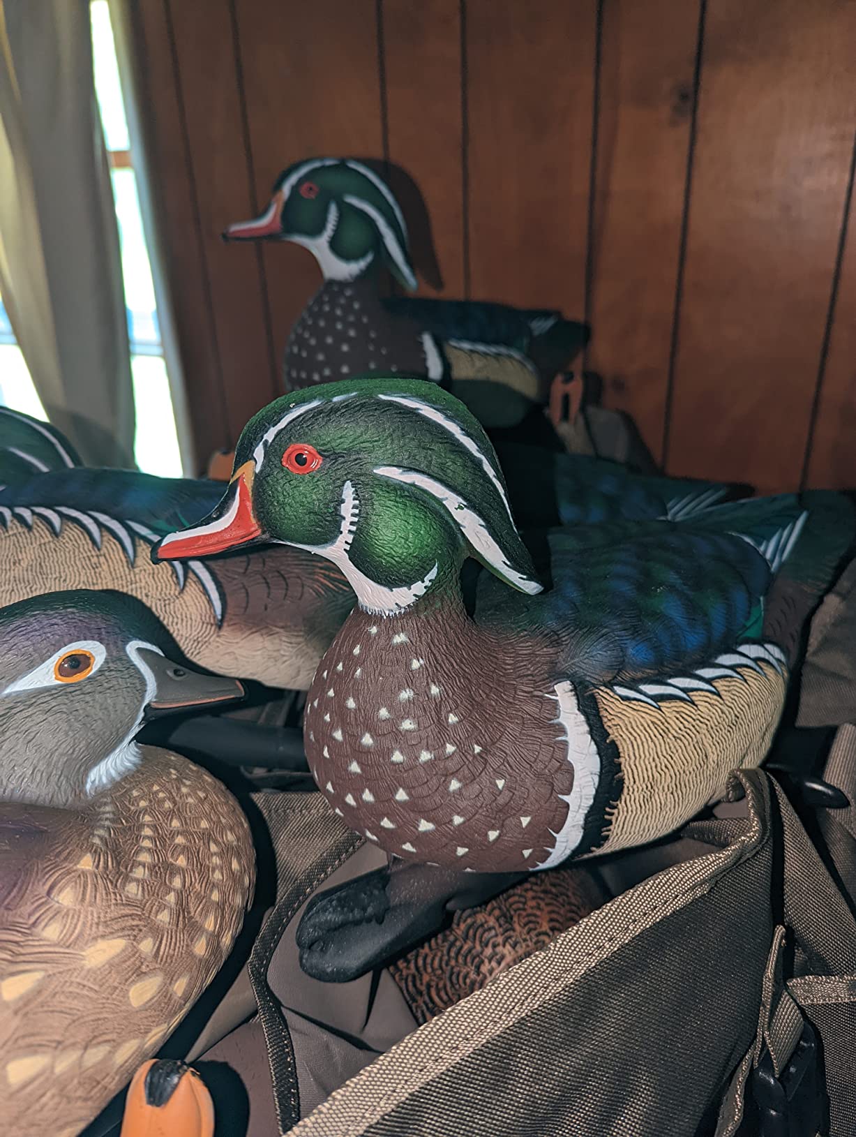 Avian X Topflight Realistic Floating Wood Duck Decoys with Weight-Forward Swim Keel, Set of 6 (Multicolor) customer photo 1