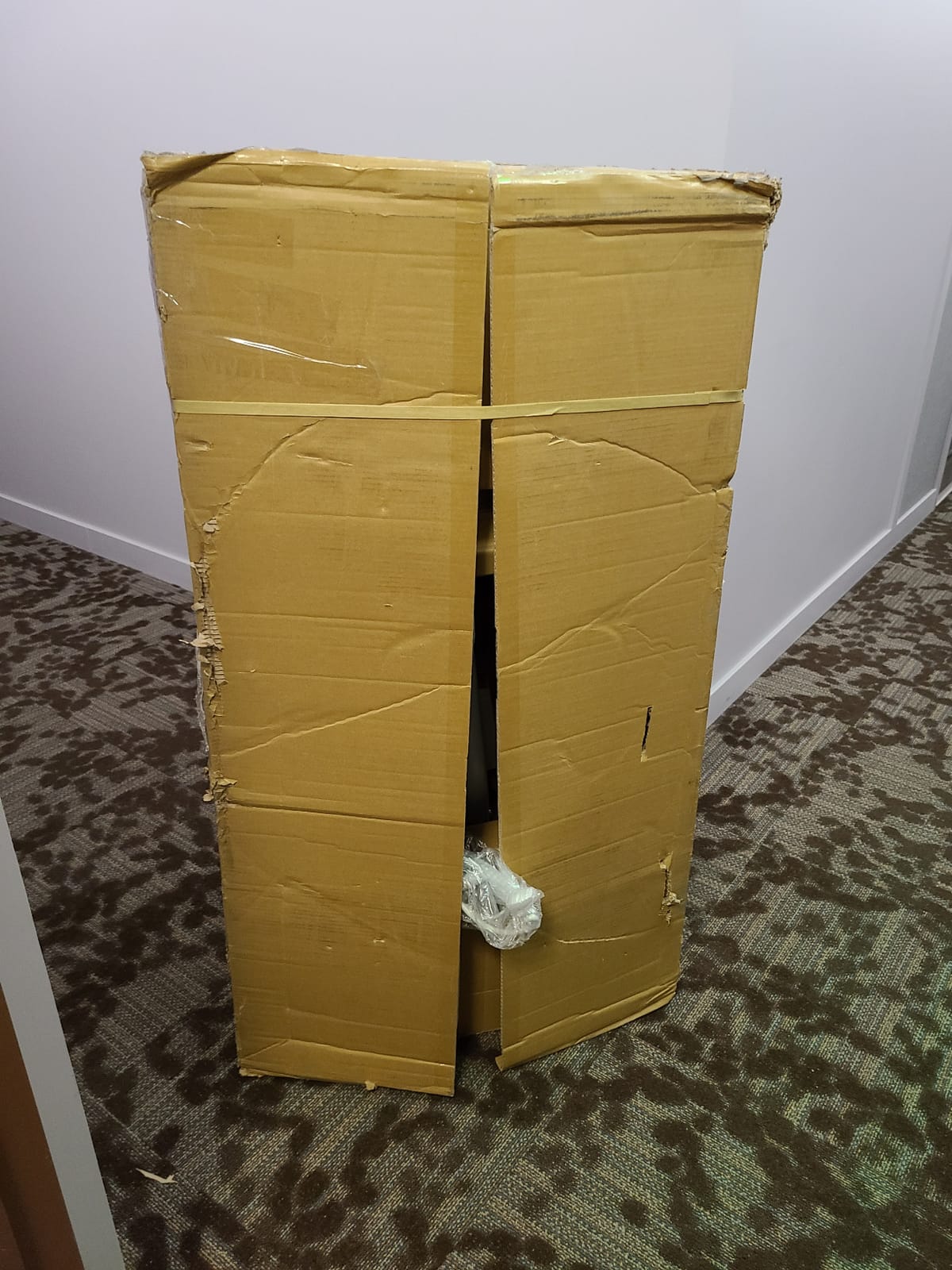 Joerns Hoyer Advance Electric Portable Patient Lift - Foldable Lightweight 70 lbs, 340 lb Capacity, Battery Powered for Home Care, Nursing & Professional Use- E340 customer photo 1