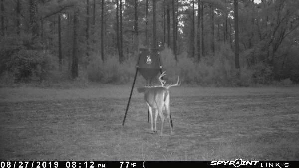 Boss Buck 200 Pound Large Capacity Hunting Gravity Fed Tripod Wildlife Game Deer Corn and Protein Pellet Feeder for Wildlife Attraction & Maintenance | All-Season Automatic Wildlife Feeding System with Adjustable Flow, 75-Inch Galvanized Legs, and 3-Way Feed Ports customer photo 1
