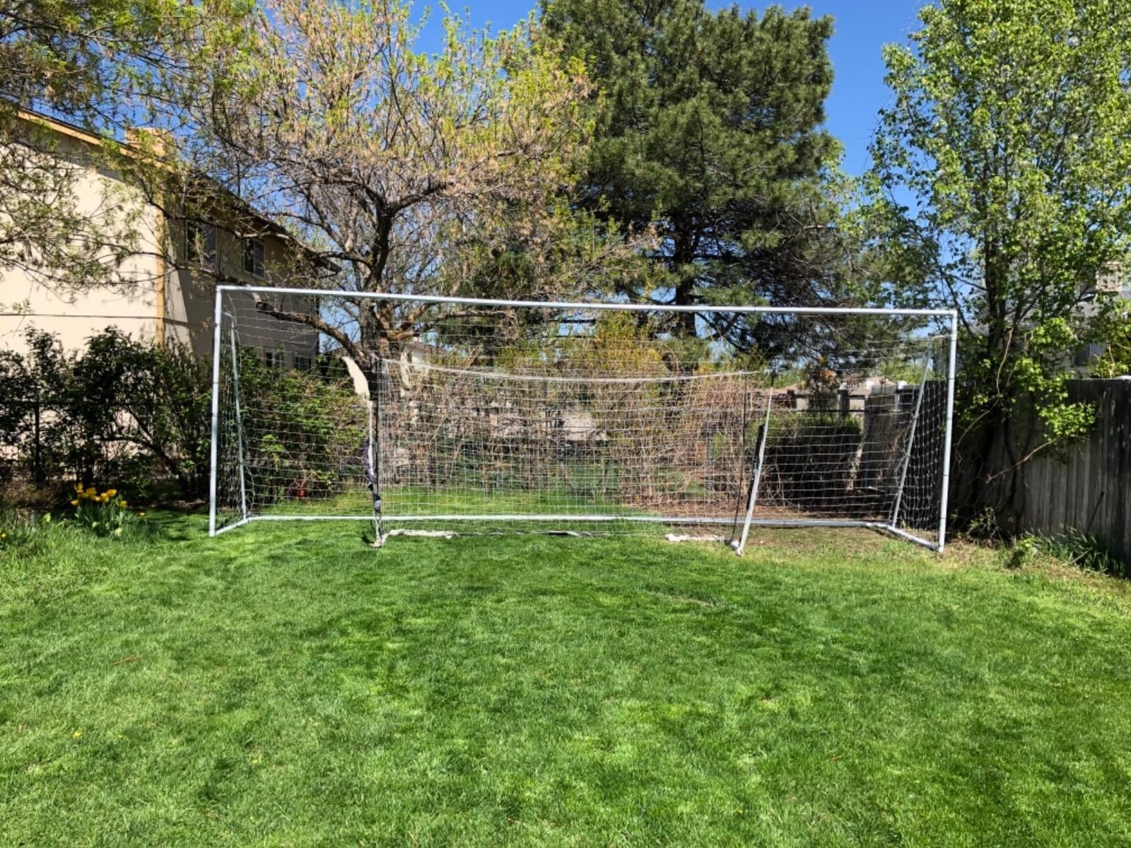 Official Size 24 X 8 X 5 Ft. Steel Soccer Goal. Heavy Duty Frame w/Net. Tournament, Regulation Size. Professional Portable Practice Training Aid. 24 X 8, 24x8(1Net) customer photo 1
