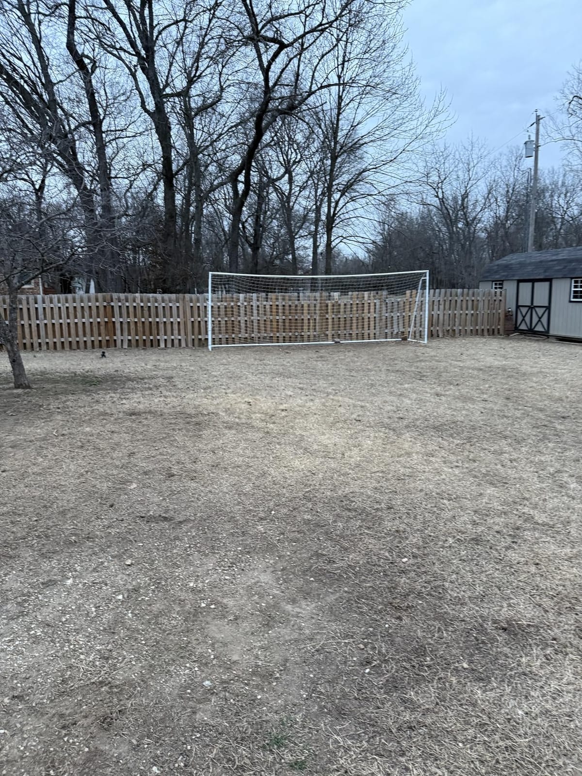 Official Size 24 X 8 X 5 Ft. Steel Soccer Goal. Heavy Duty Frame w/Net. Tournament, Regulation Size. Professional Portable Practice Training Aid. 24 X 8, 24x8(1Net) customer photo 2