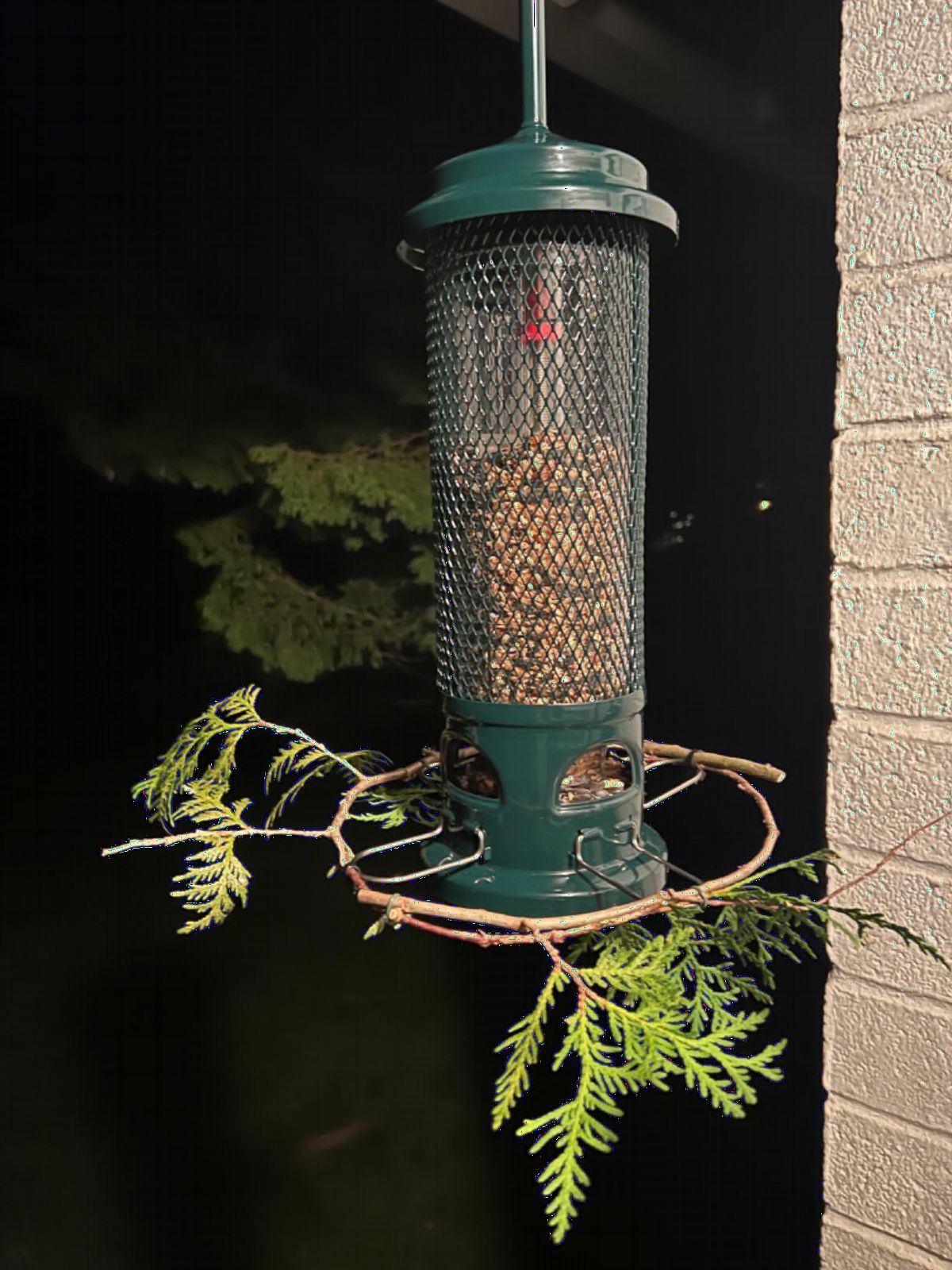 Squirrel Buster Legacy Squirrel-Proof Bird Feeder for Wild Birds - 4 Metal Removable Perches, 2.6 lb Seed Capacity, Chew-Proof Design, Easy to Clean, Green customer photo 2