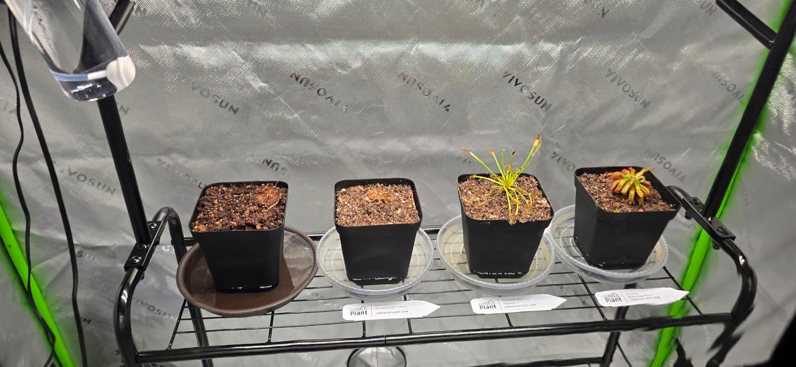 VIVOSUN S425 2x4 Grow Tent, 48