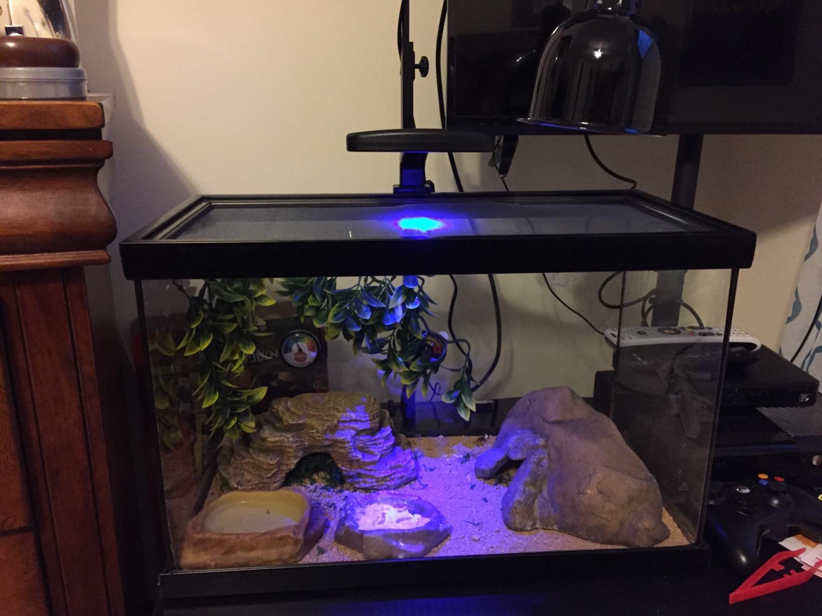 Exo Terra Leopard Gecko Starter Kit, 15 GAL customer photo 1