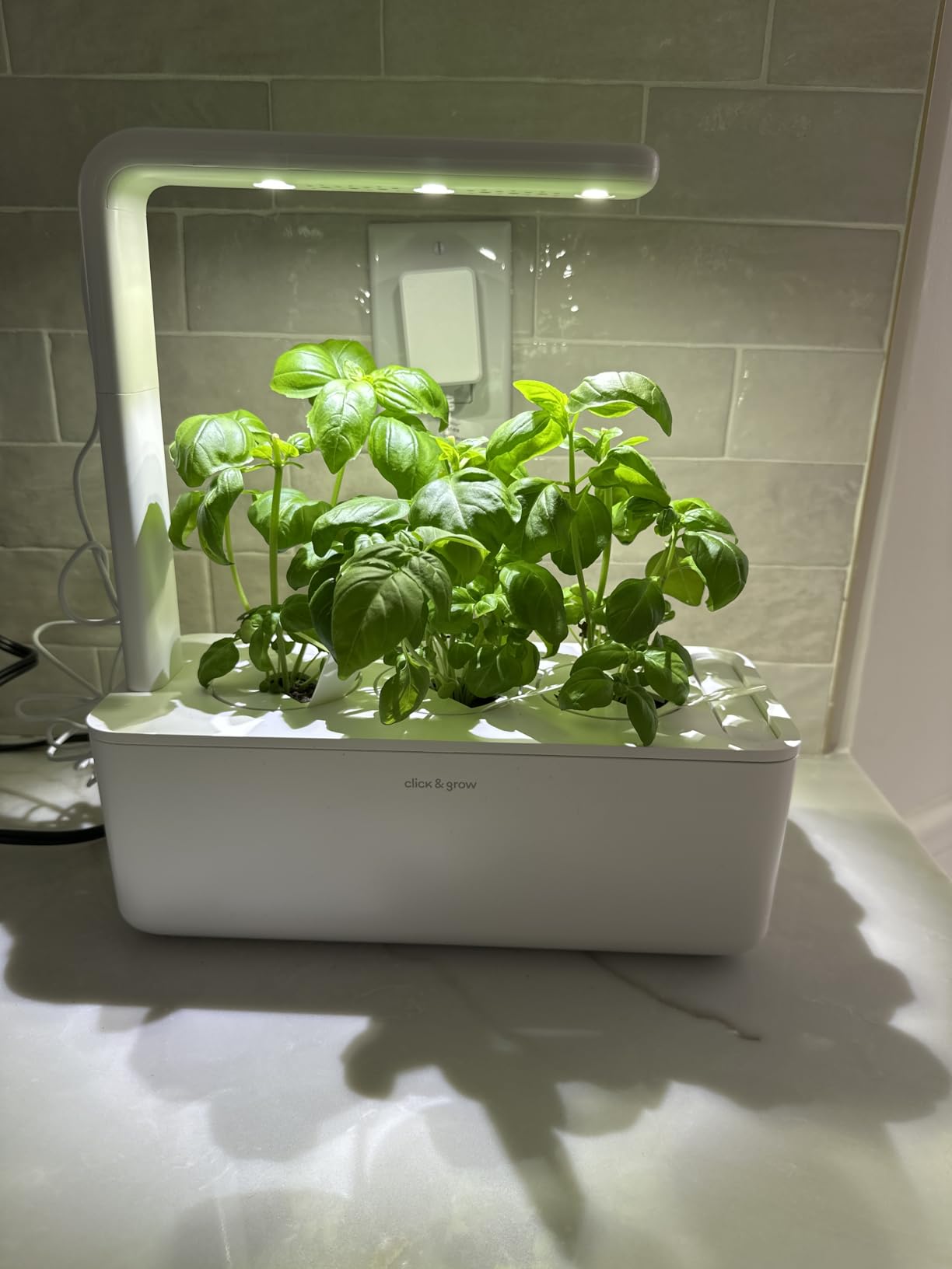 Click & Grow Indoor Herb Garden Kit with Grow Light | Smart Garden for Home Kitchen Windowsill | Easier Than Hydroponics Growing System | Vegetable Gardening Starter (3 Basil Pods Included), White customer photo 2