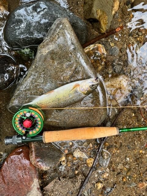 Maxcatch AVID Fly Fishing Reel with CNC-machined Aluminum Body - 1/3, 3/4, 5/6, 7/8, 9/10 Weights customer photo 2