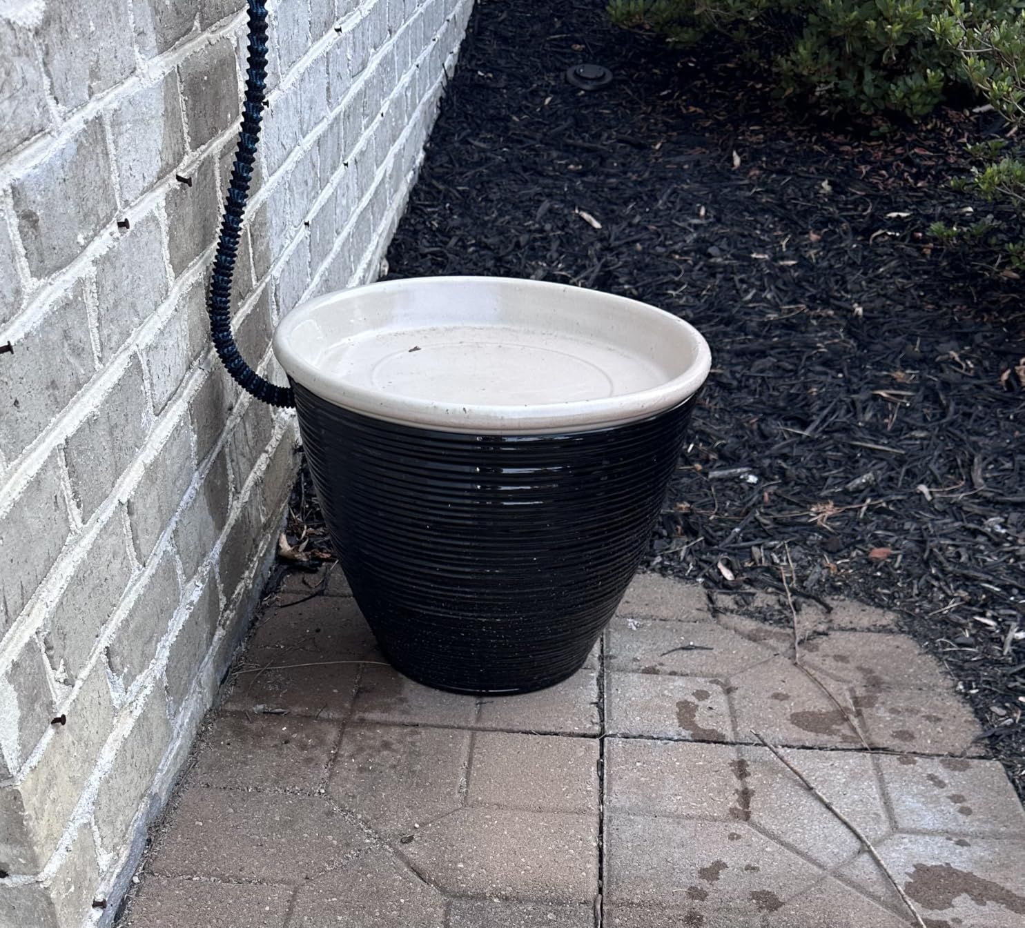 J&B XpandaHose 75ft Expandable Garden Hose, Lightweight, Brass Connectors | Ultra Strong 3750D fabric, 4-layer latex core, expands 3X, kink & leak-resistant, 10-pattern nozzle, storage bag customer photo 2