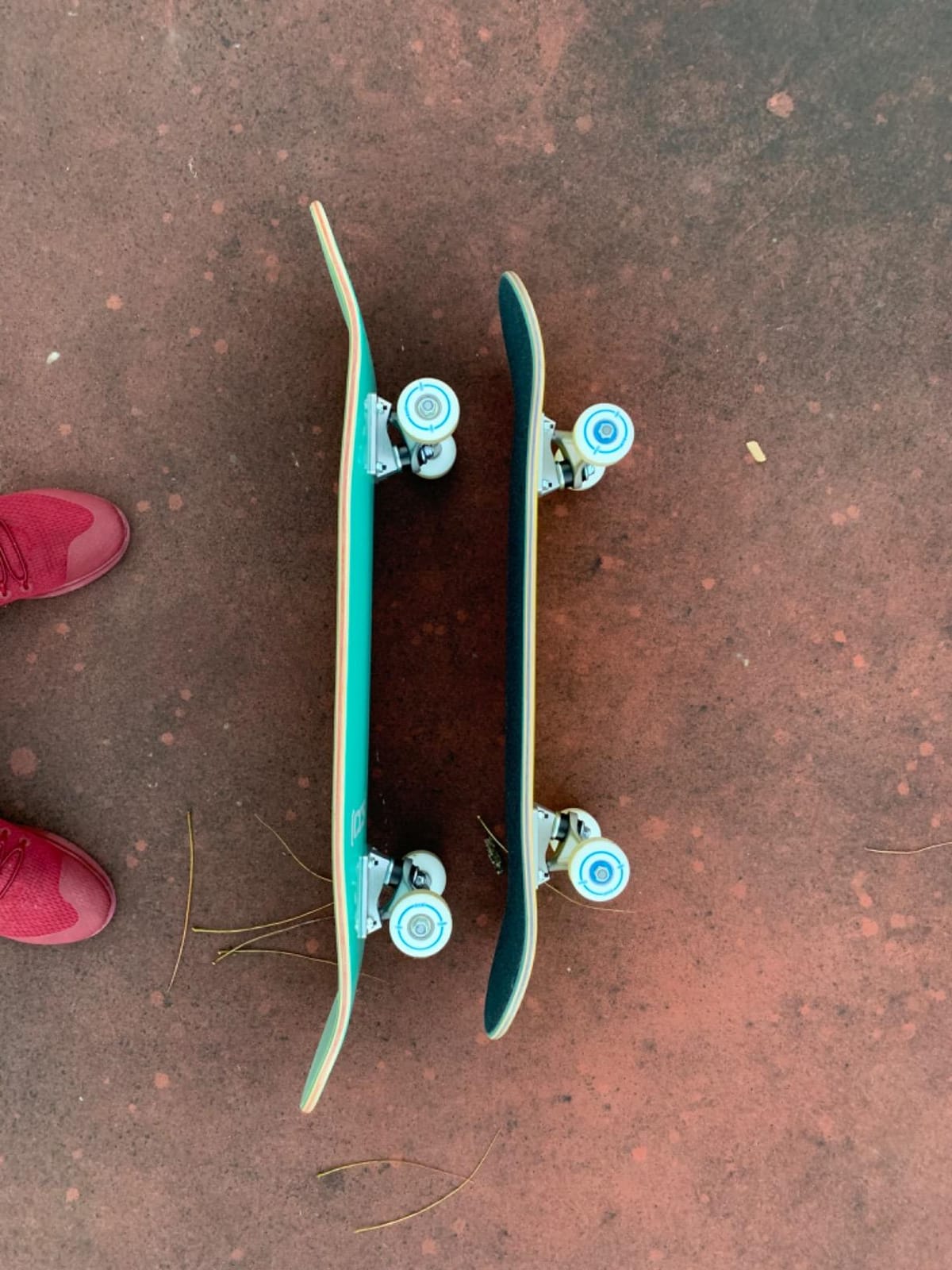 [CCS] Skateboard Complete | Maple Wood | Professional Grade | Fully Assembled with Skate Tool & Stickers | Adults, Kids, Teens, Youth | Boys & Girls customer photo 1